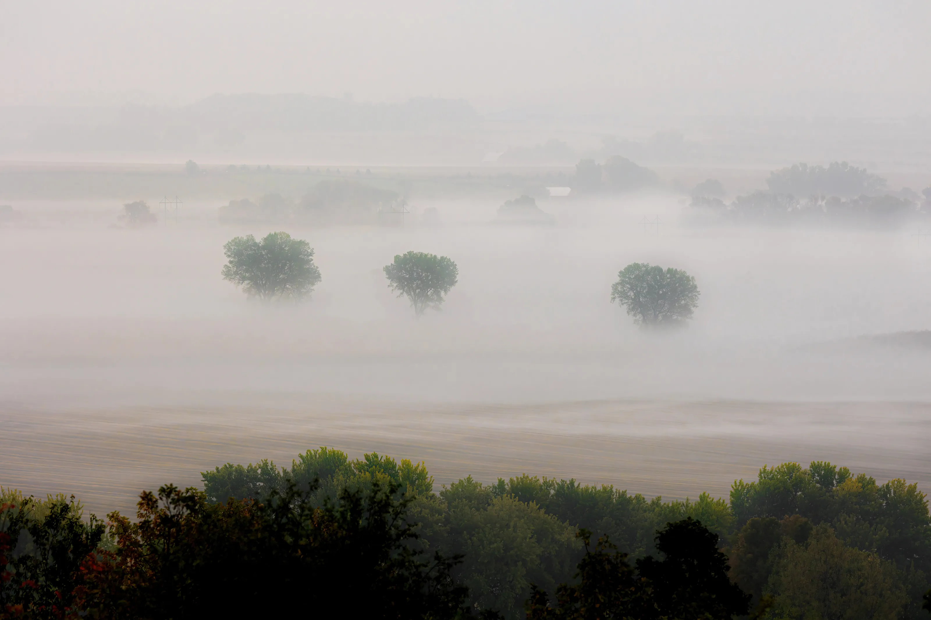 Midwest Fog