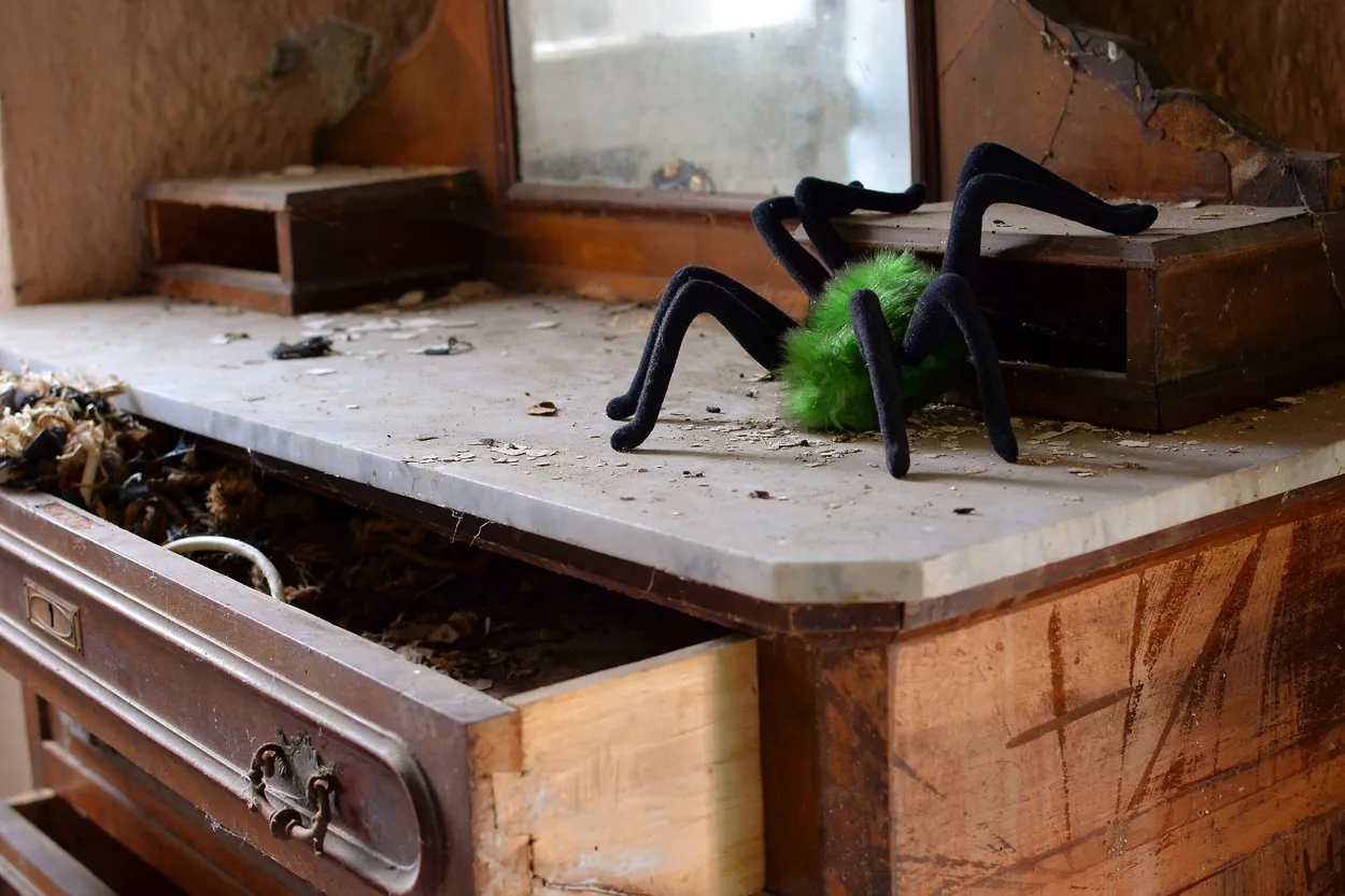 Plushie Life - Fancy Spider