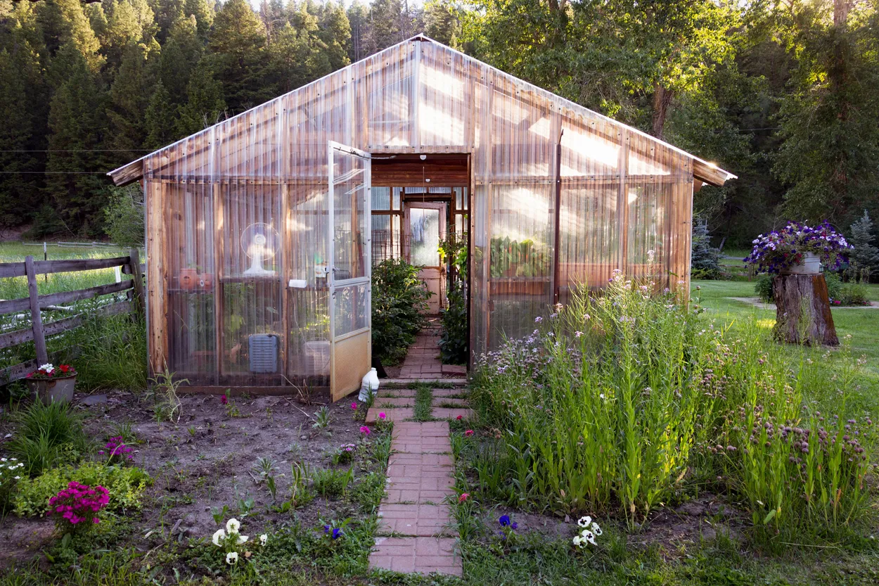 Greenhouse for Vegetables