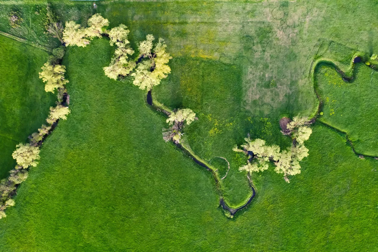 Entry 17510641