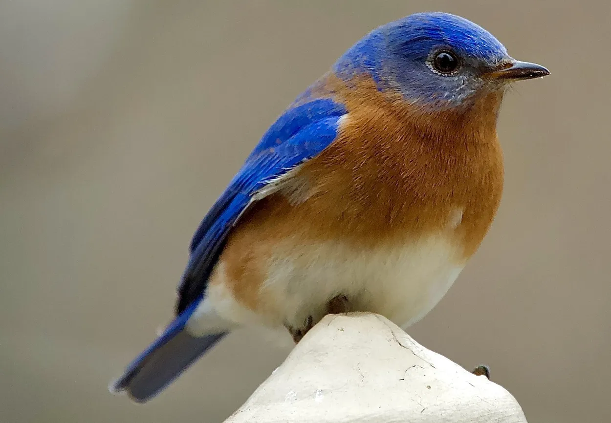 Entry 13469984