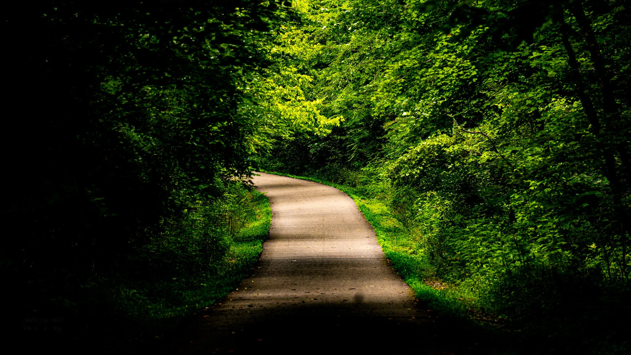 Along the Trail
