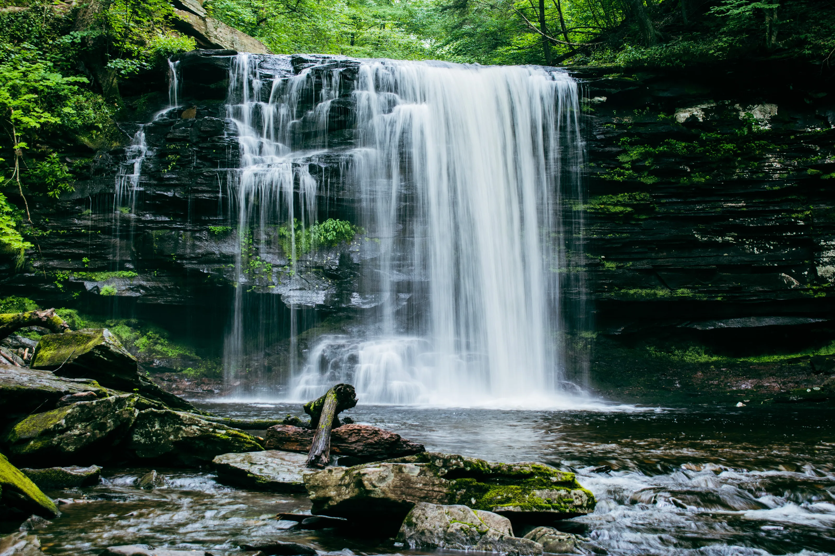 Serenity