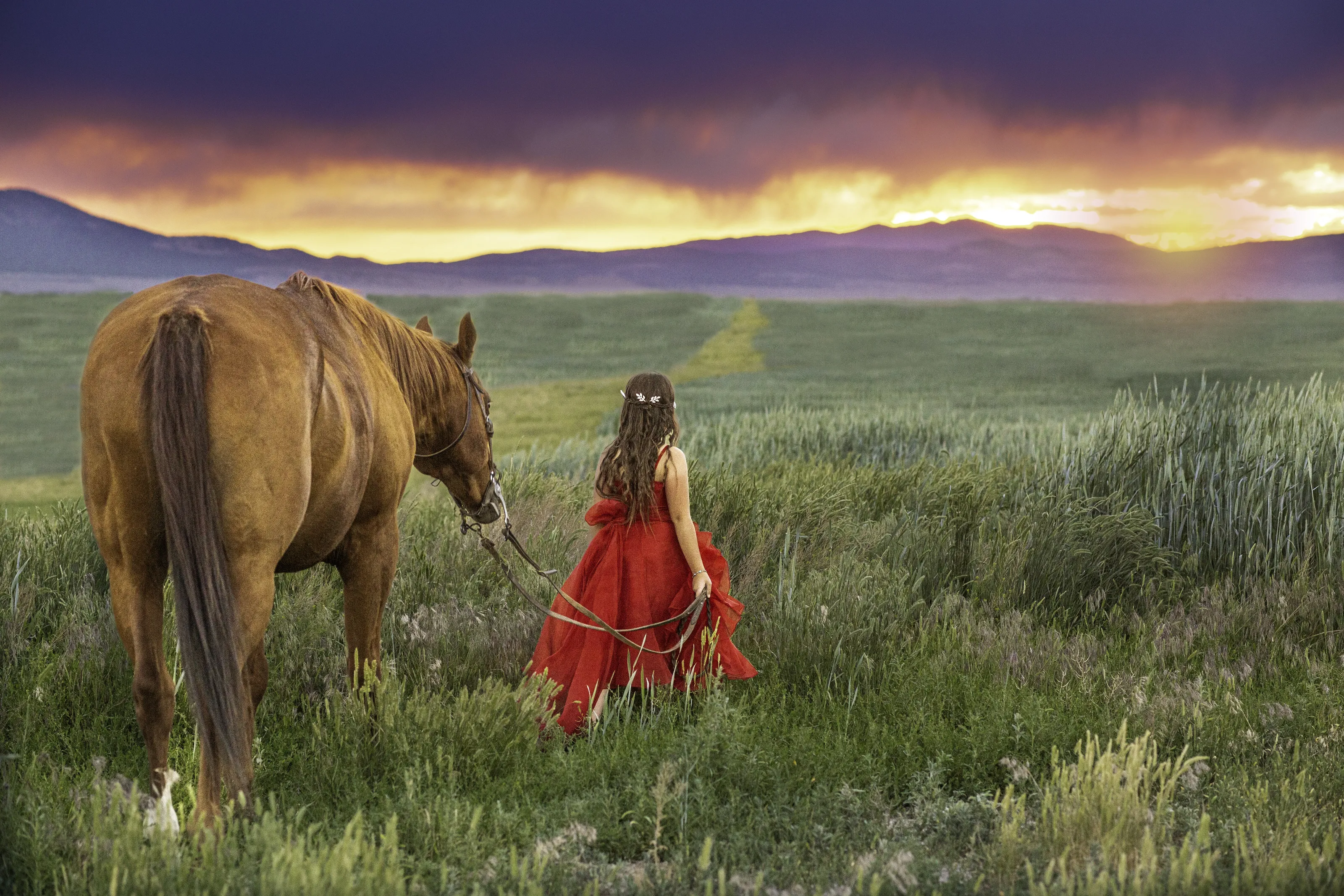 Into the land of make believe