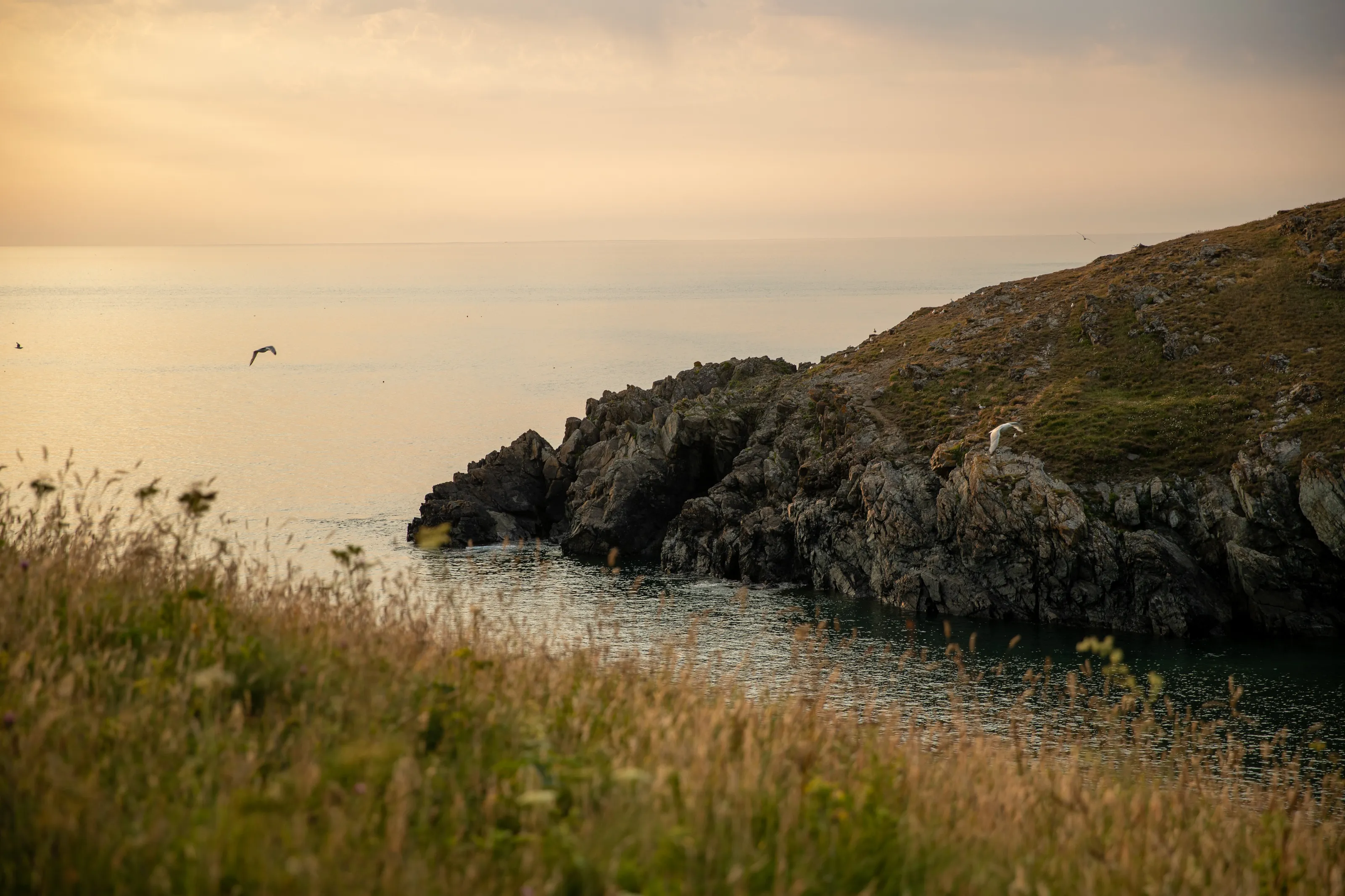 A Cornish evening