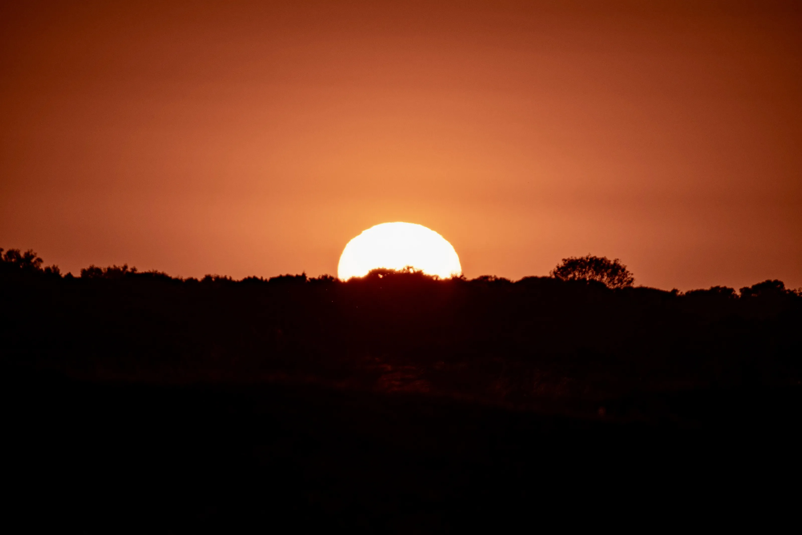 Setting Sun