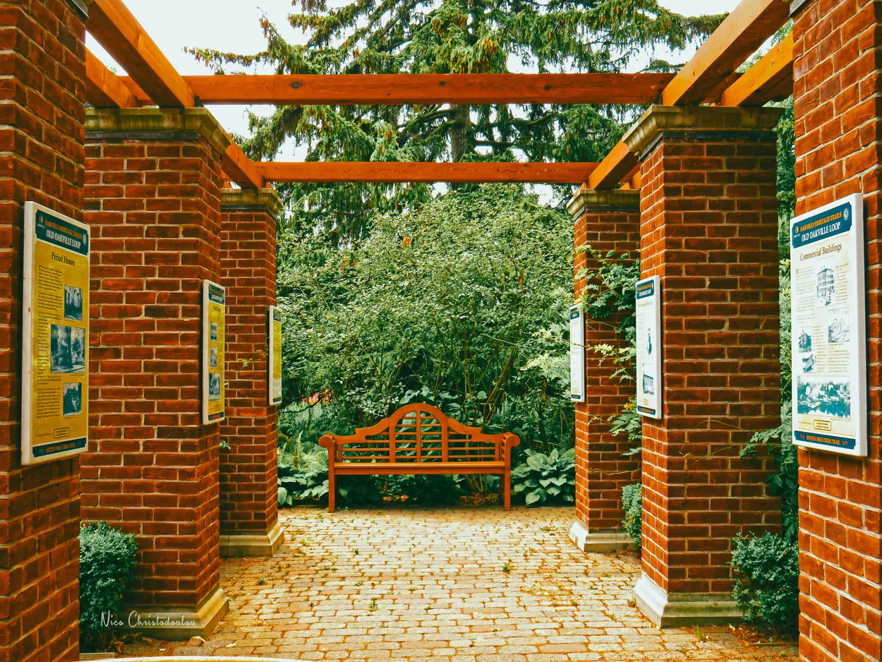 Entry 13526741