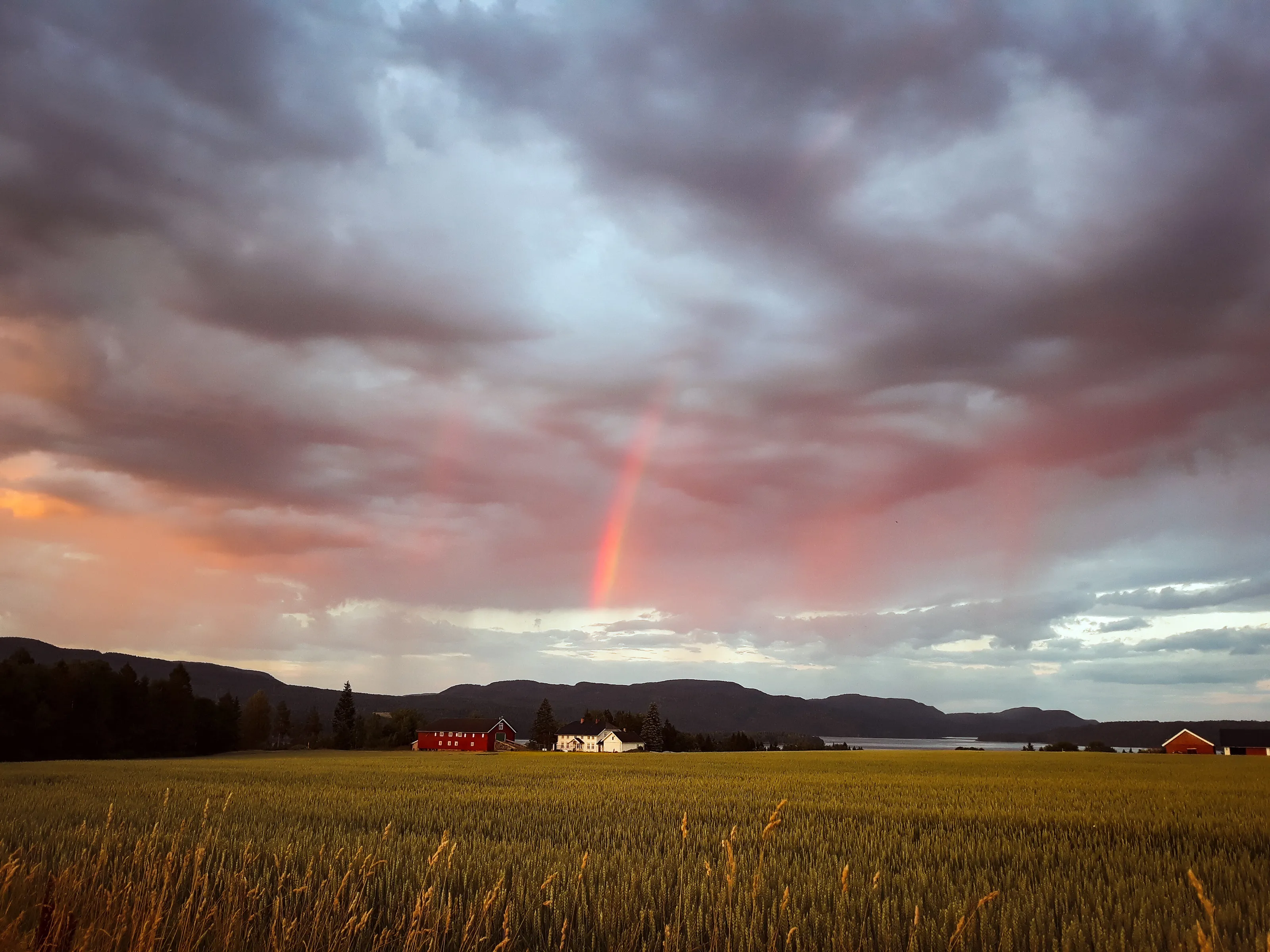 Rainbow's touch