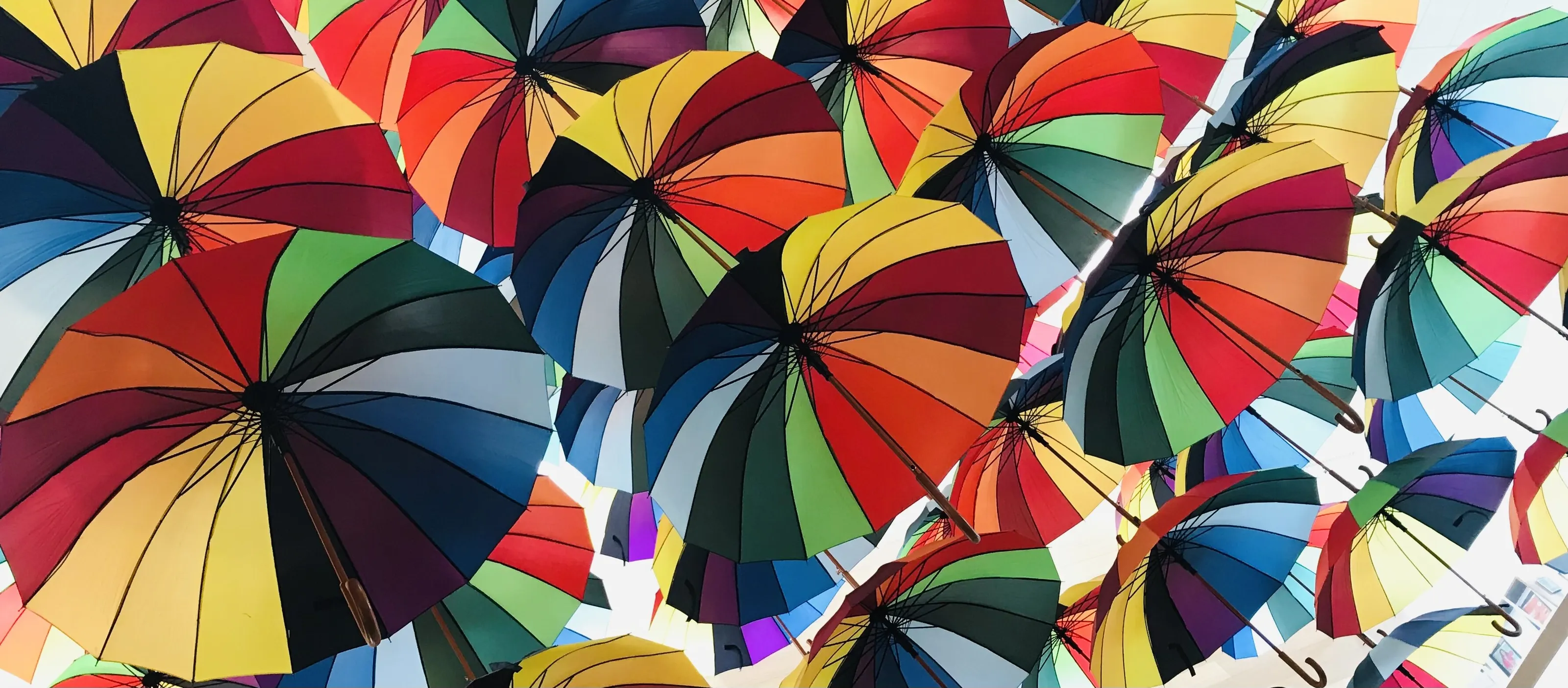 Umbrella colors