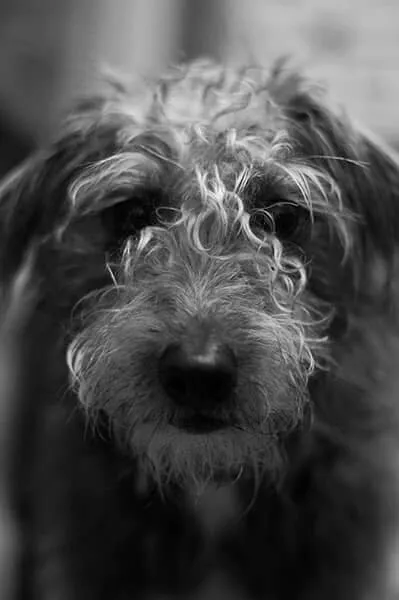 That nose