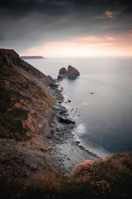 BASSET COVE