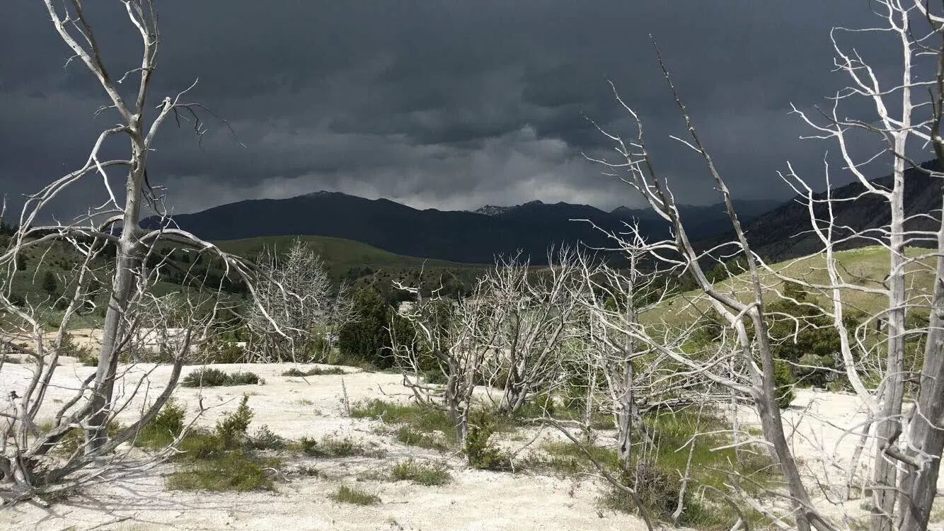Storm's A  Brewing