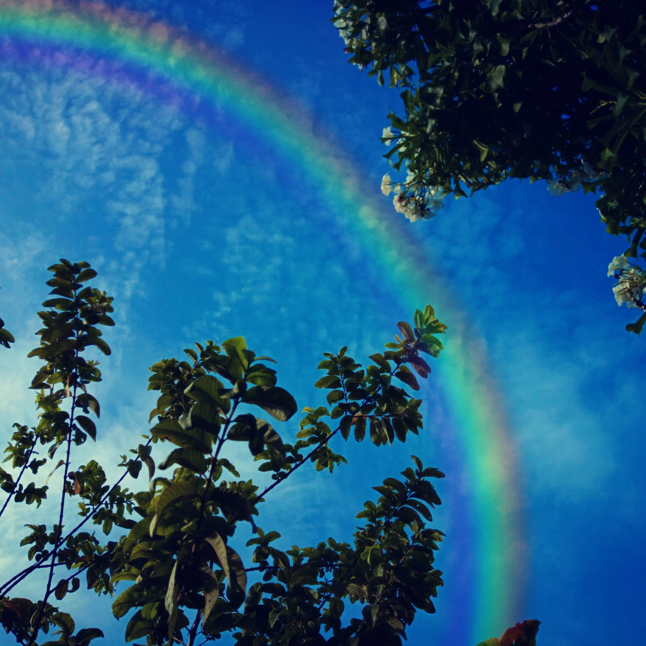 Beautiful rainbow 🌈