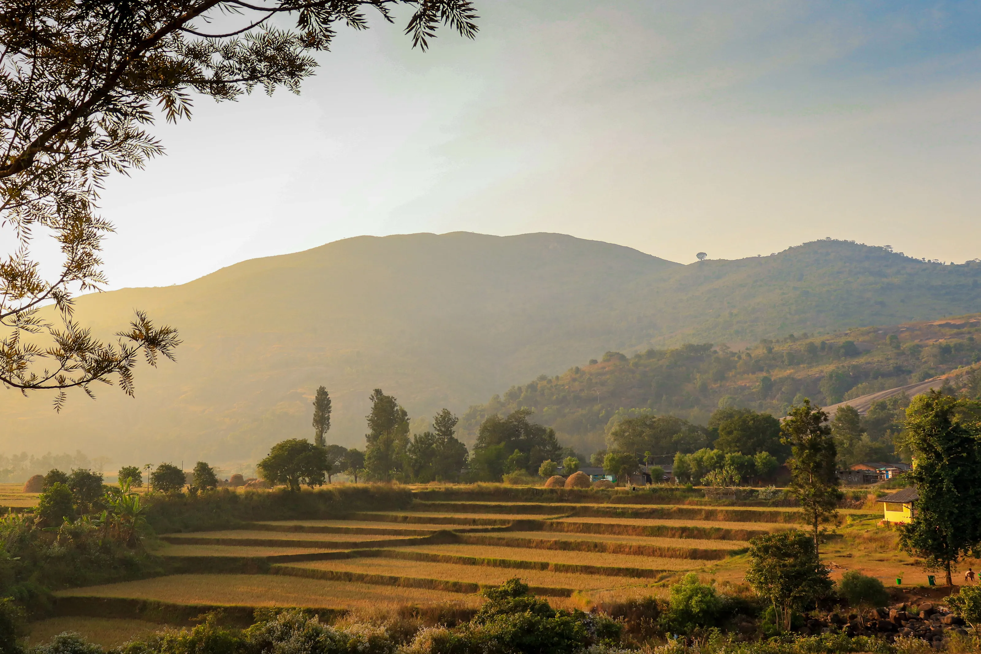 Araku valley