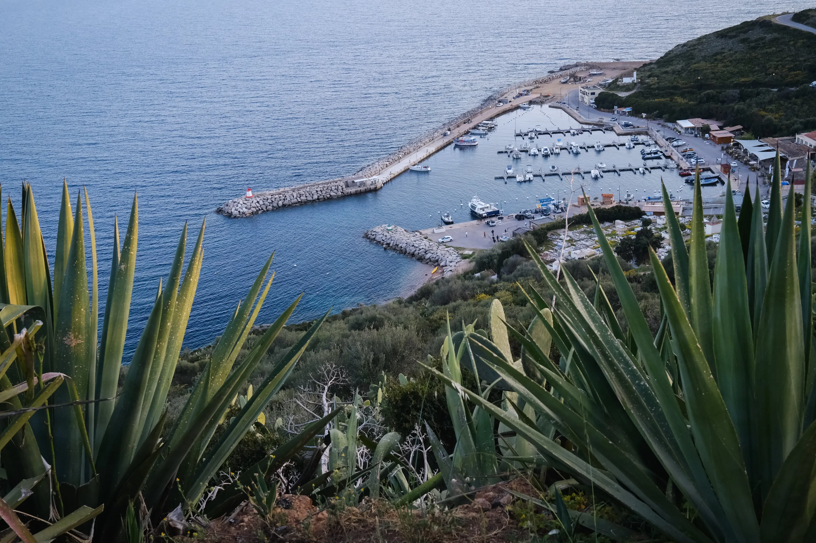 a marina of Cargése