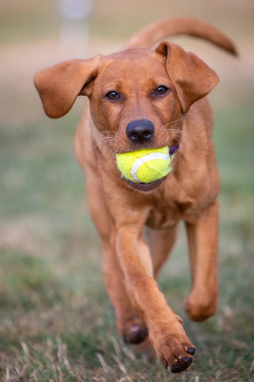 Entry 23482520