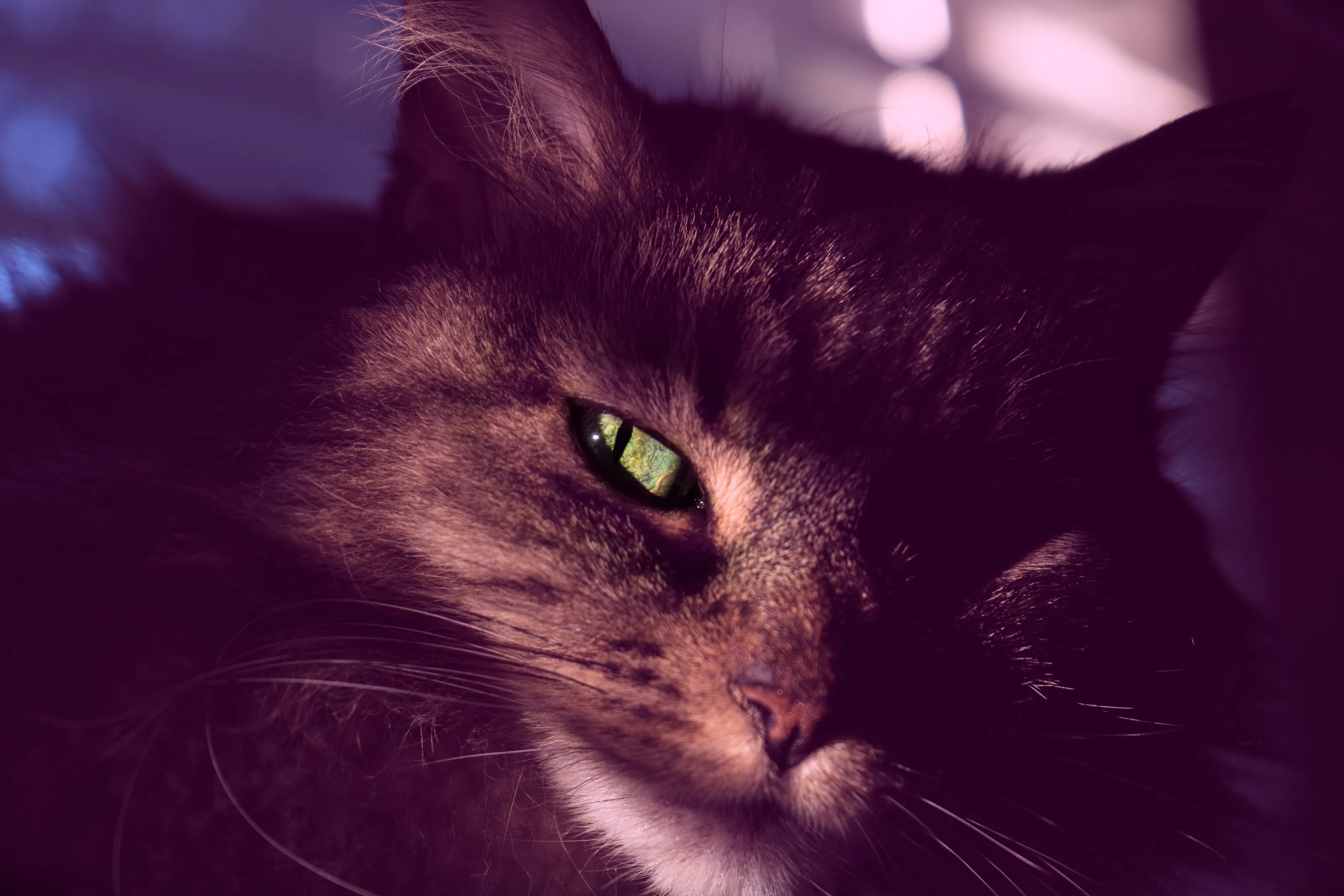 "I’m not crazy. My reality is just different than yours.” - The Cheshire Cat