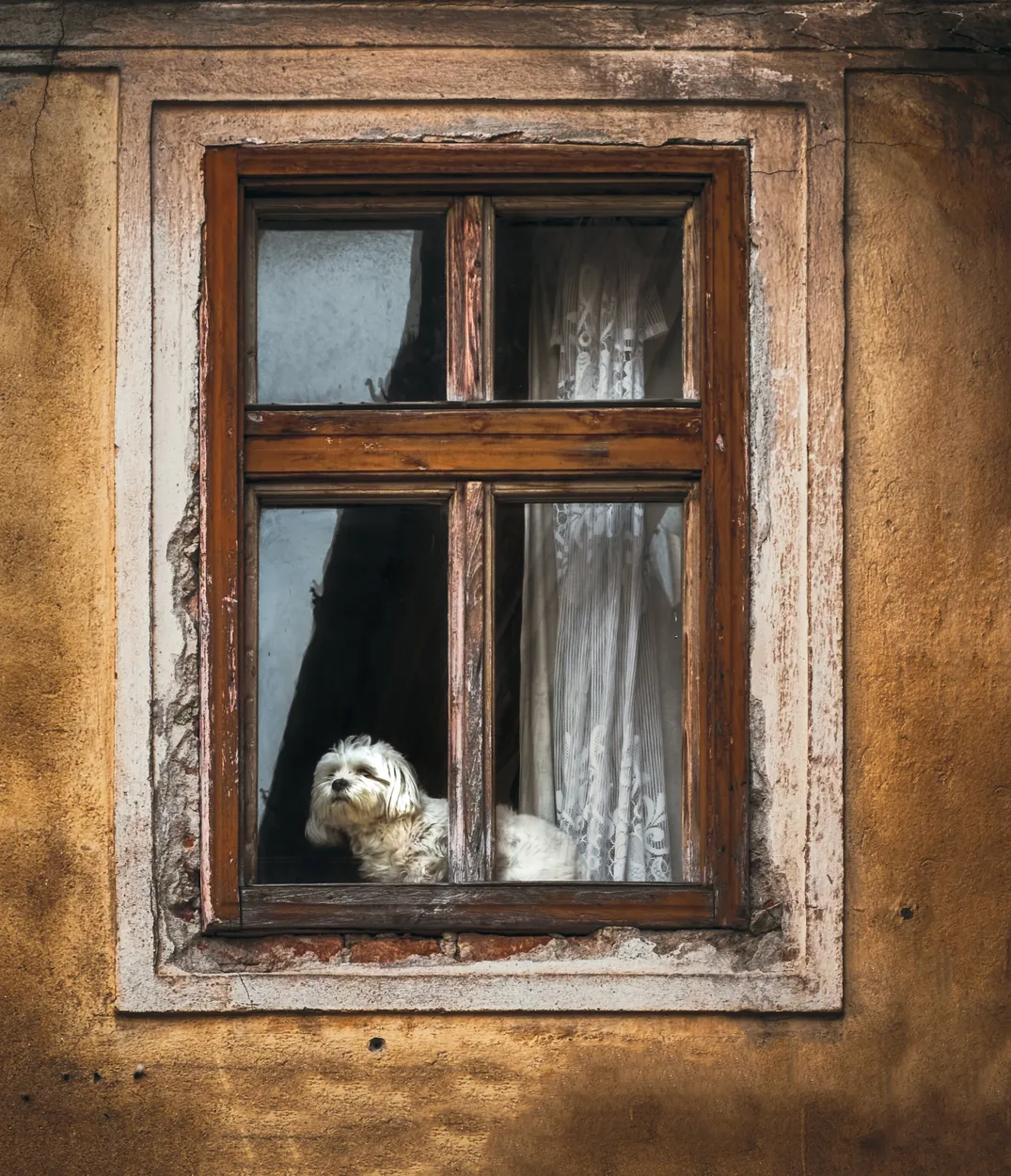 Windows - architecture photo contest | Photocrowd photo competitions ...