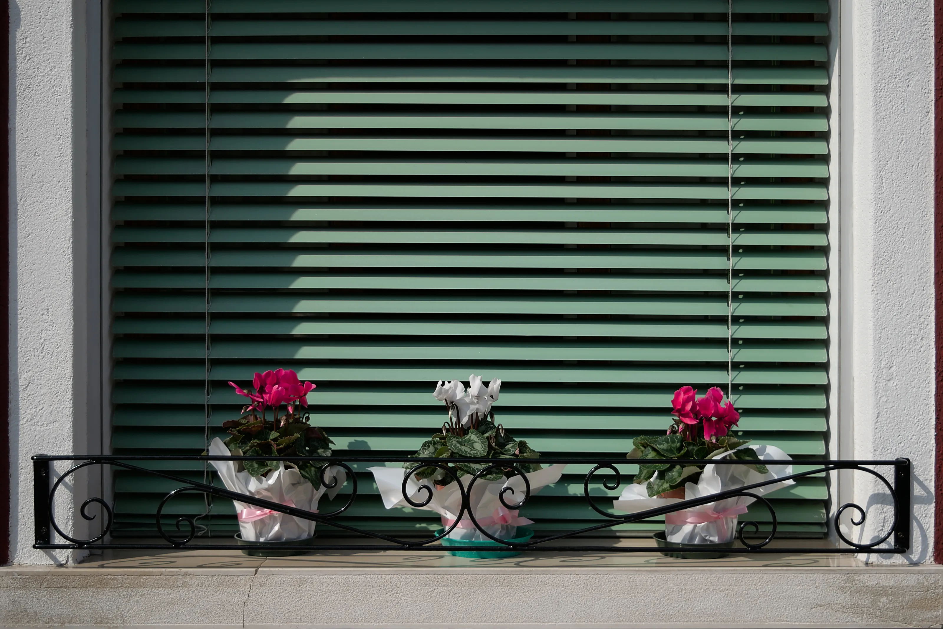 Flower pots in window frame.