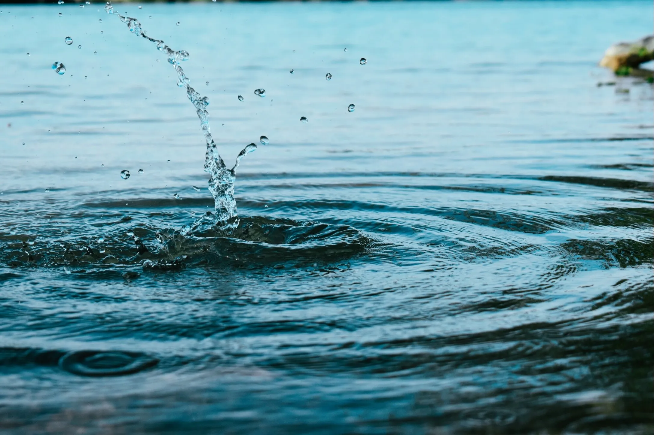 Water