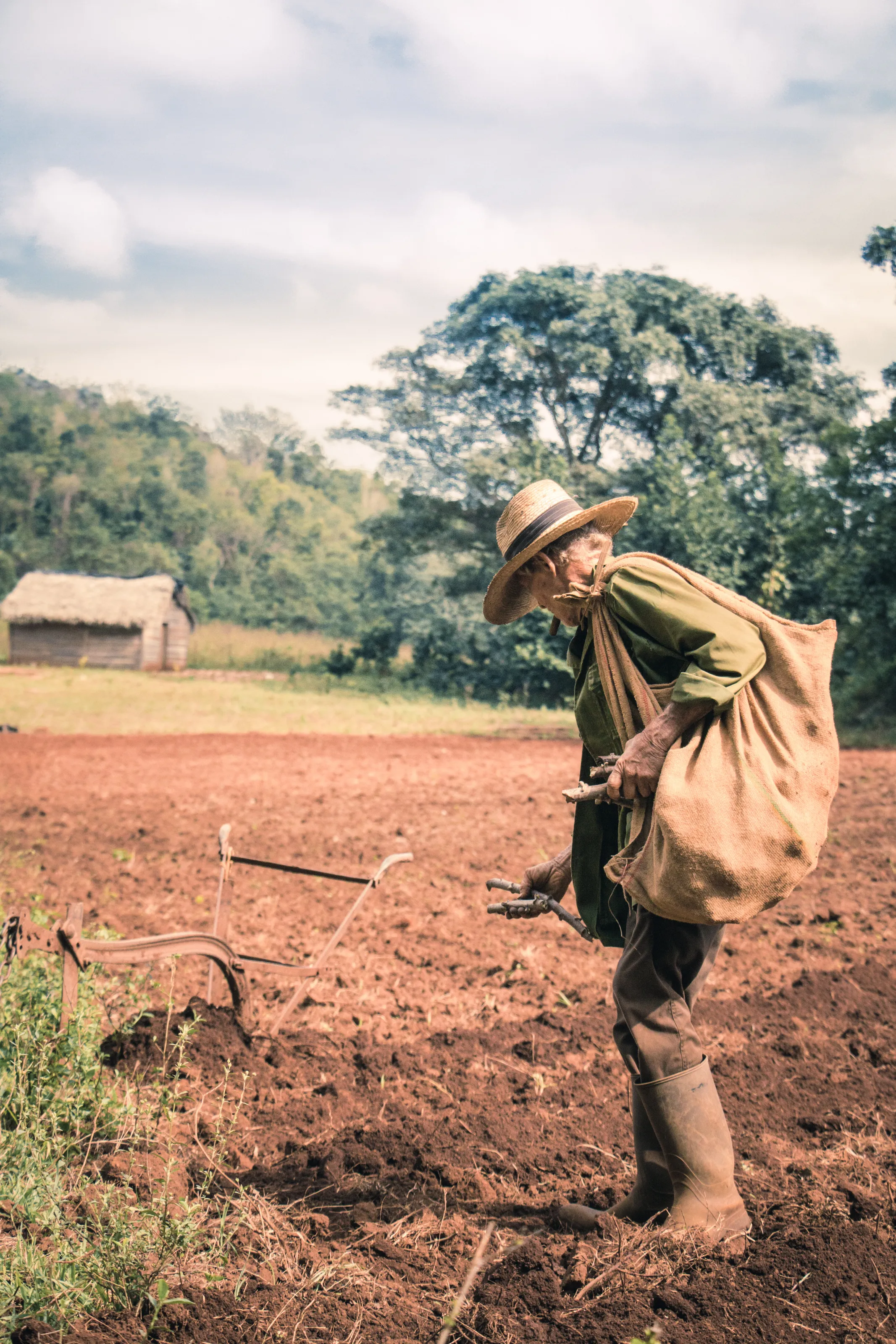Cuban Farmer