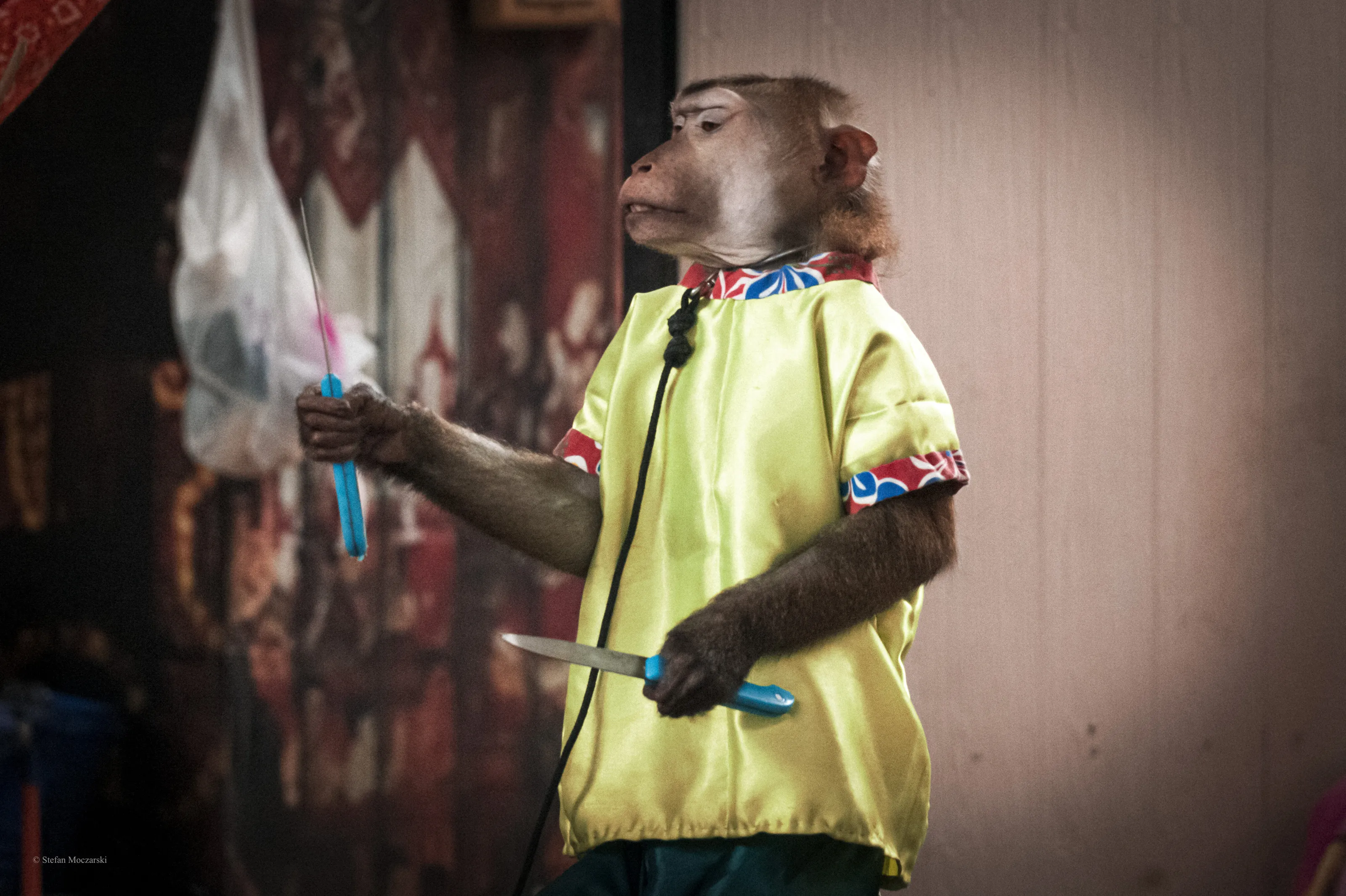 No monkey business