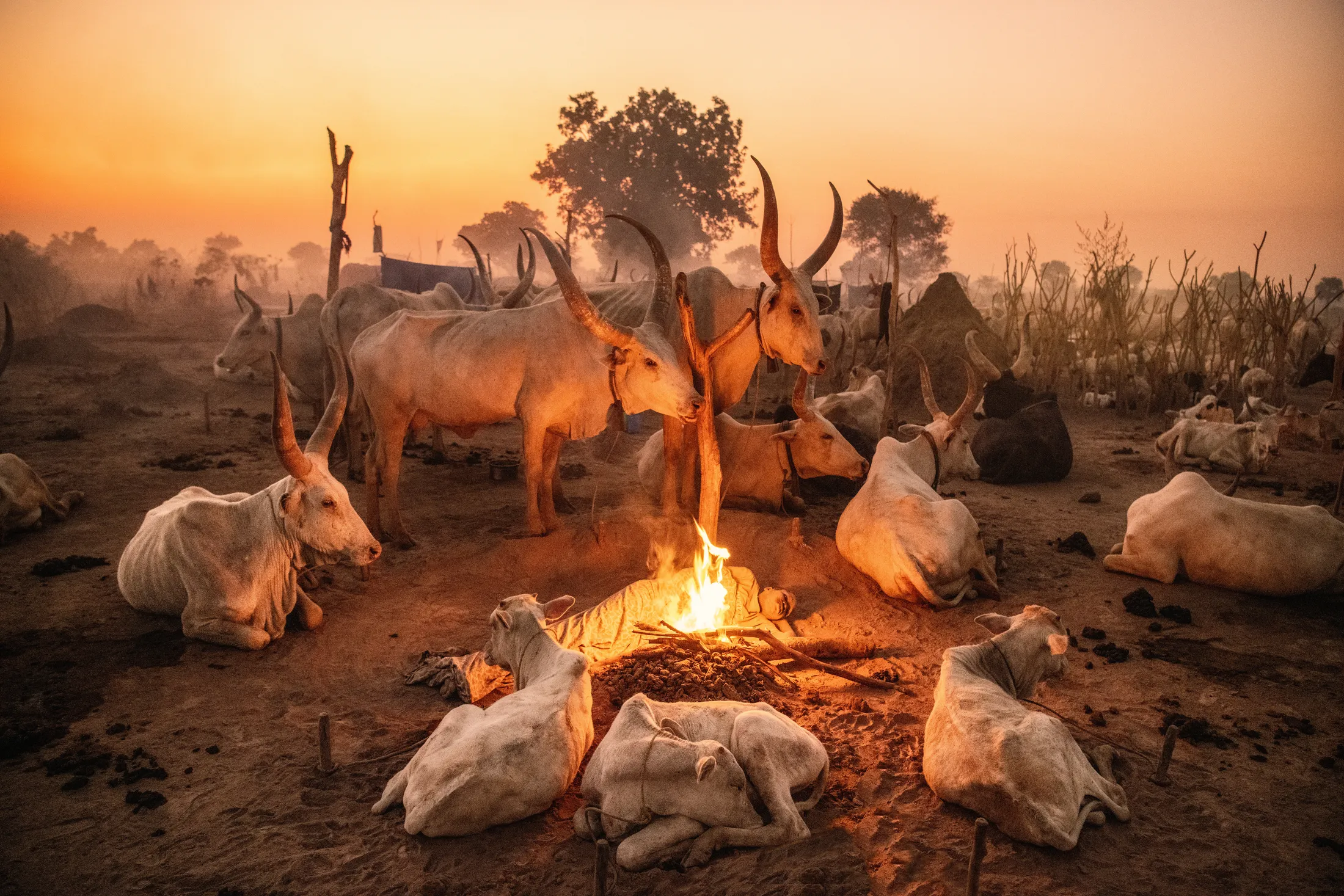 Quiescence in the camp