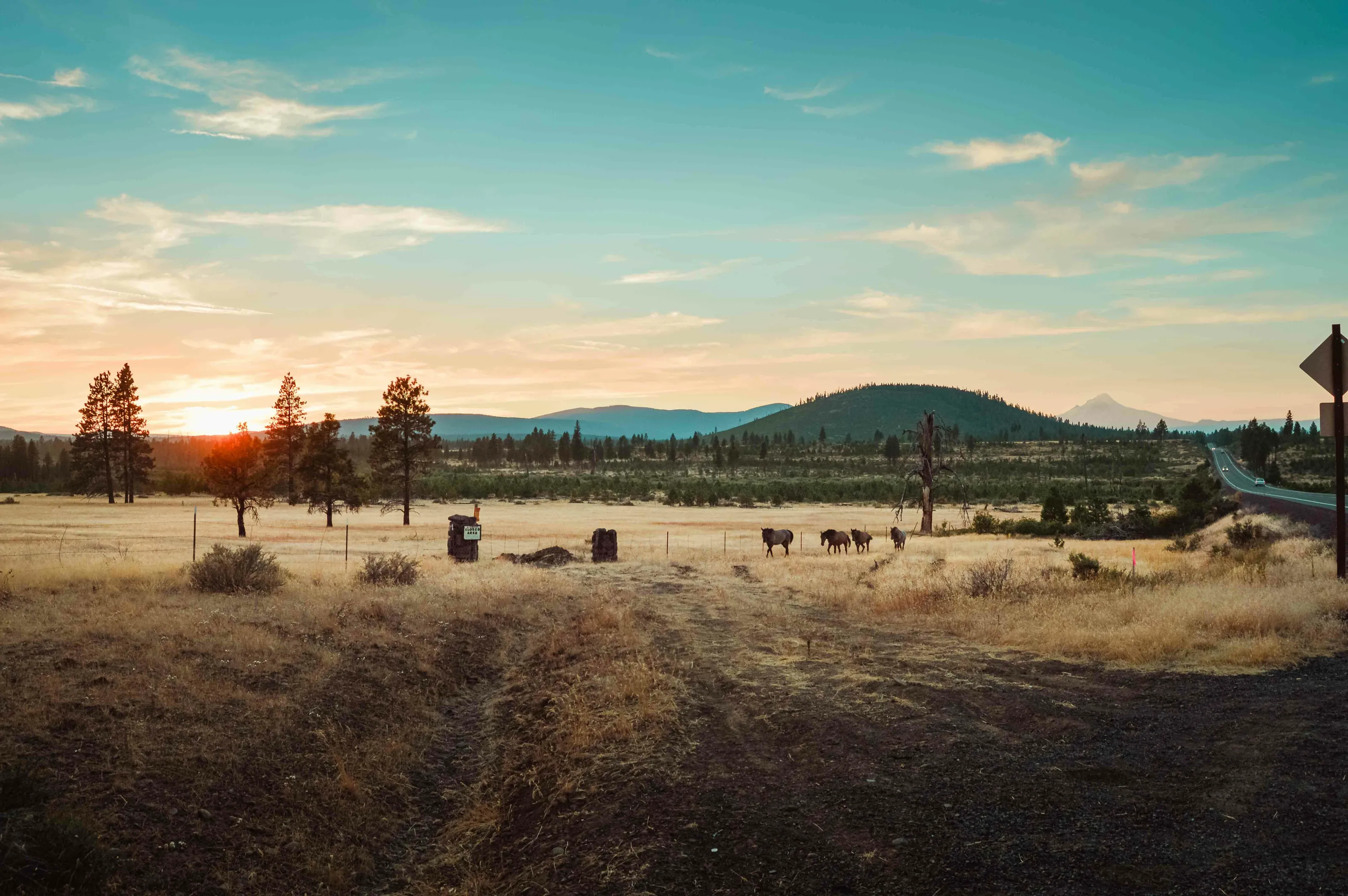 Oregon - Sunset Field