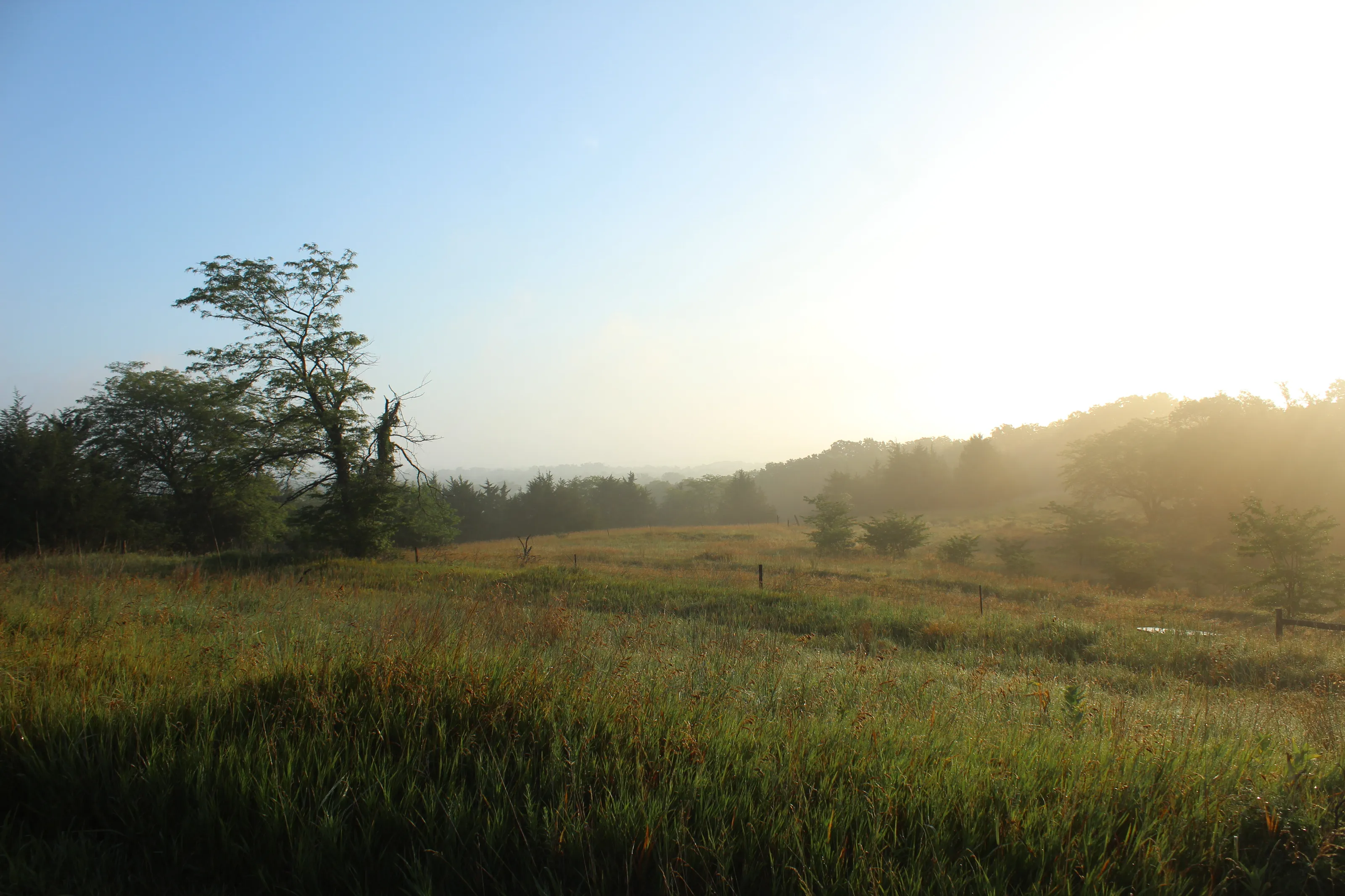 July sunrise