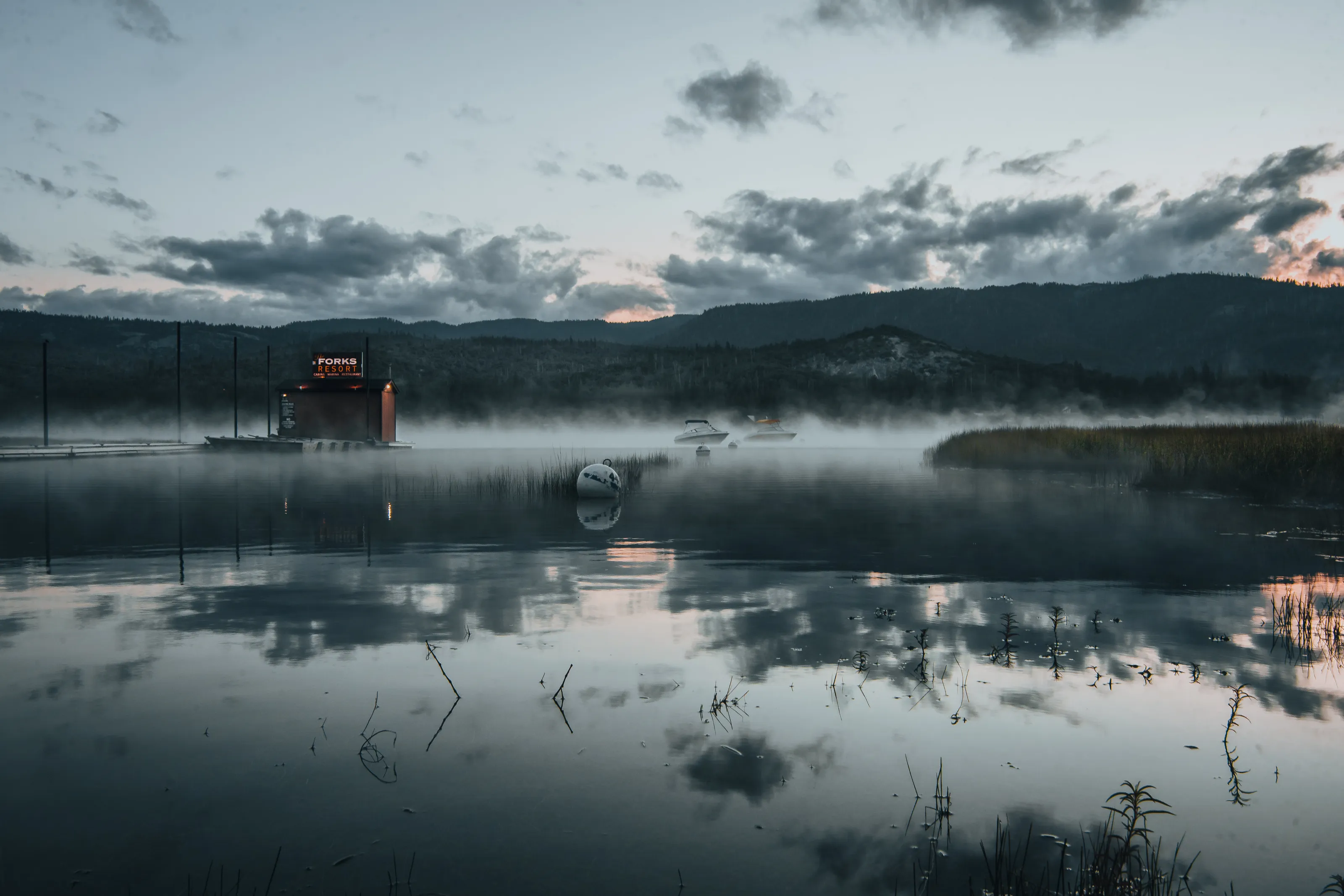 Foggy Forks