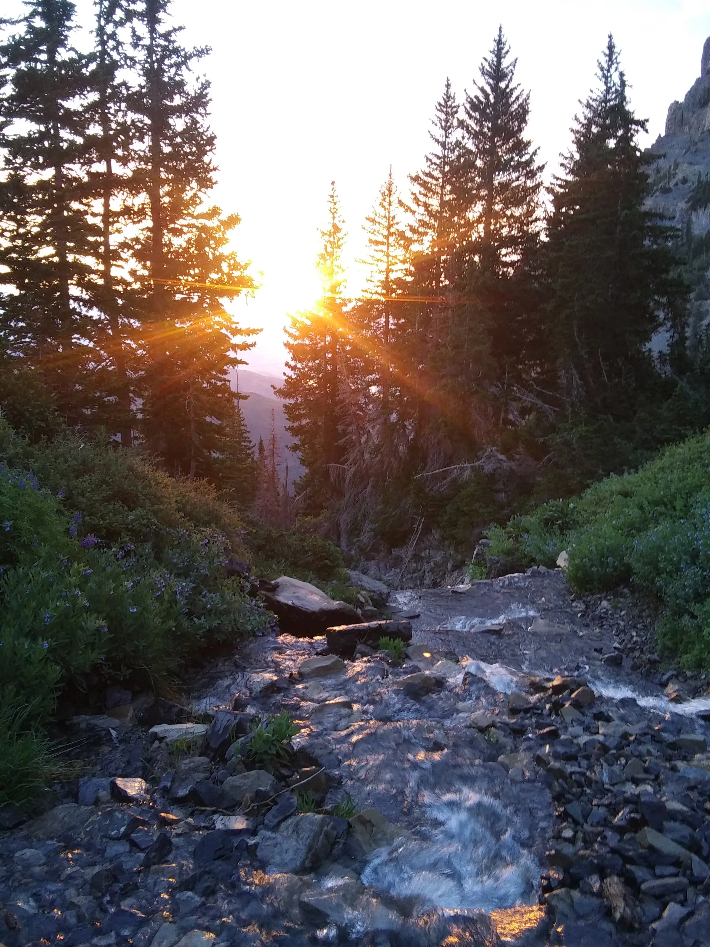 Watching Sunrise