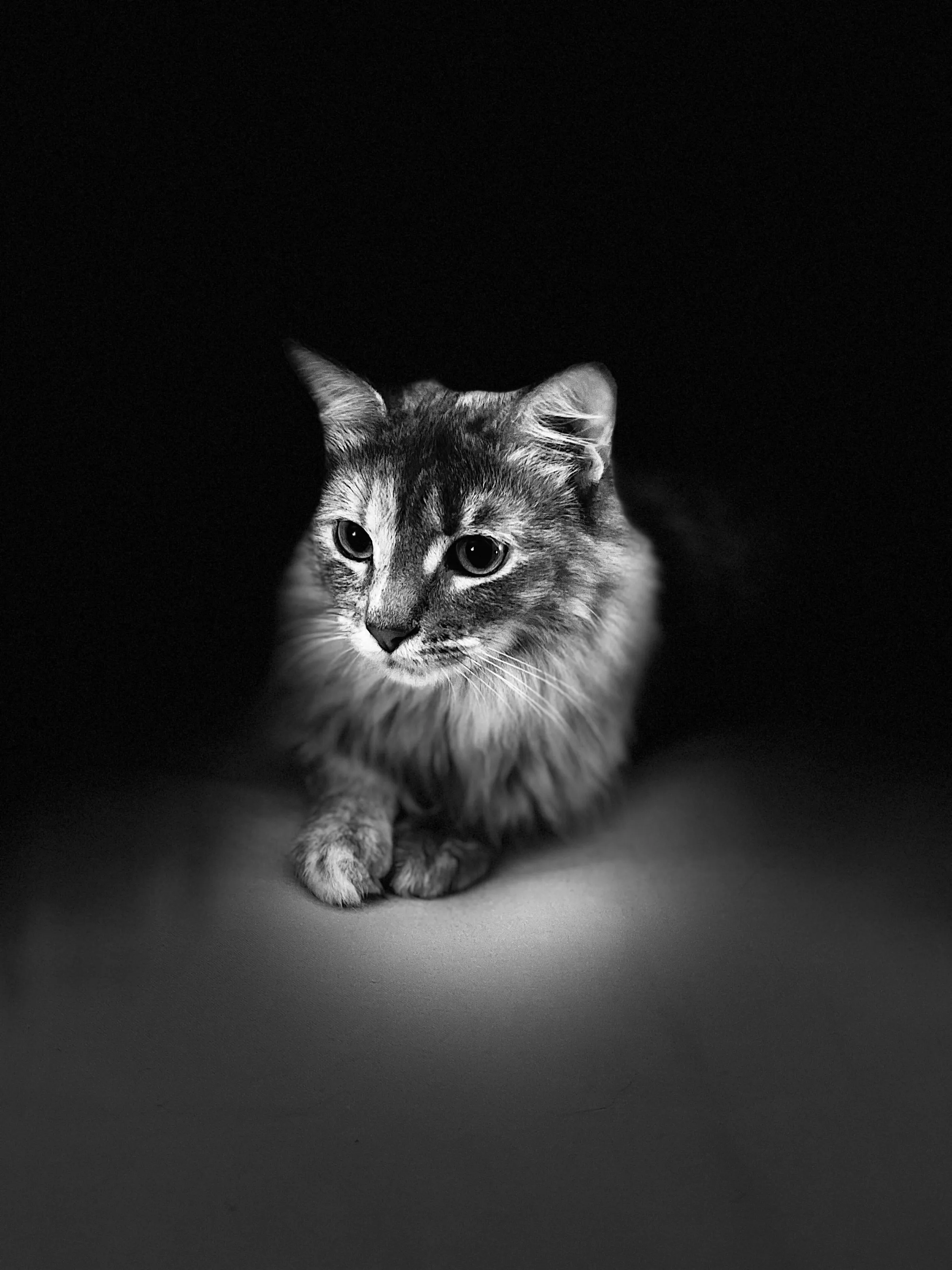 Delilah