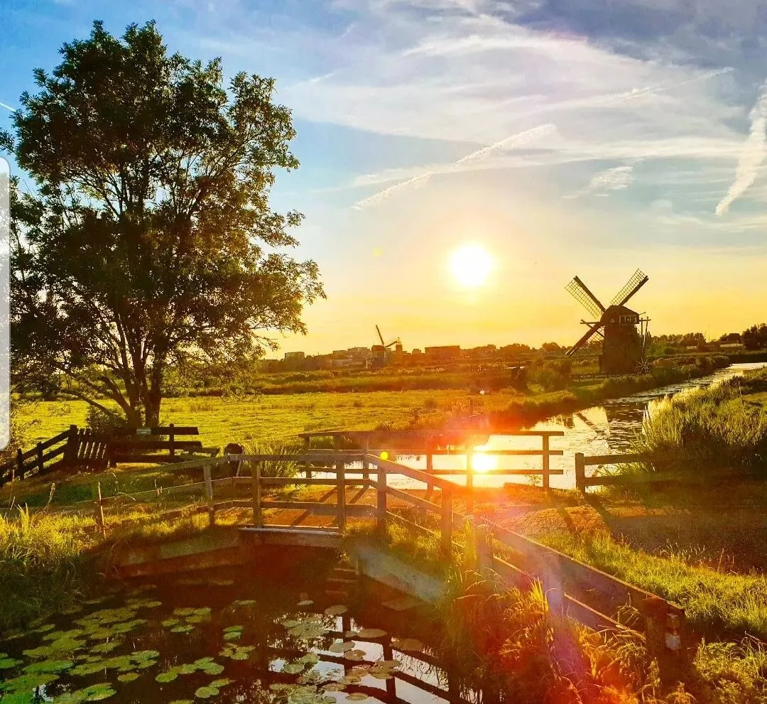 Dutch Sundown