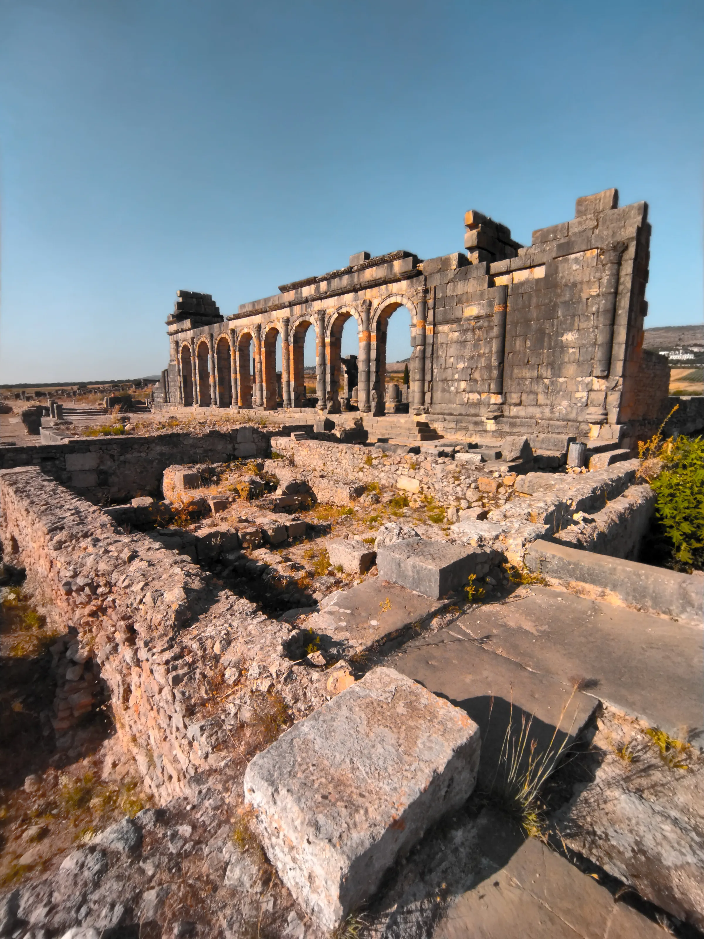 The basilica