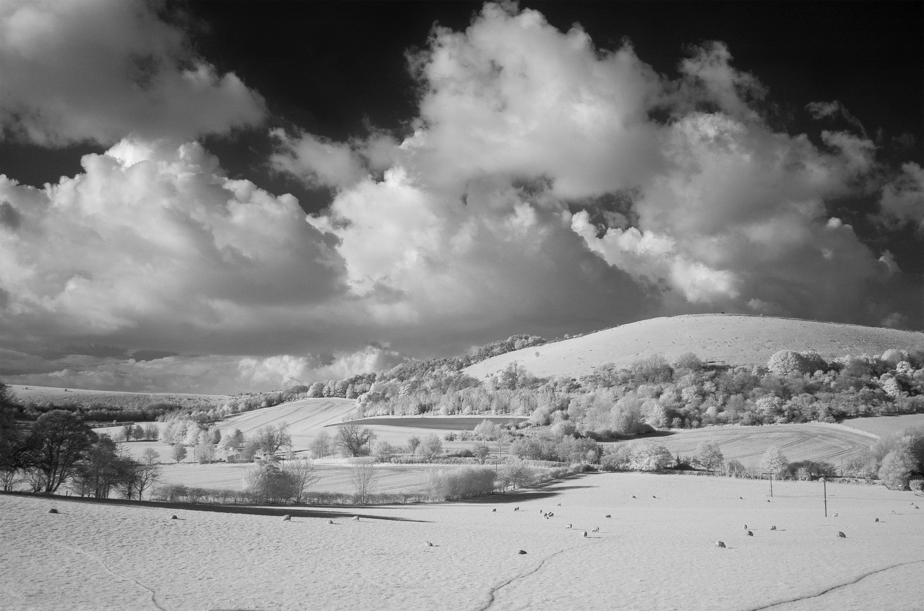 Coombe Hill