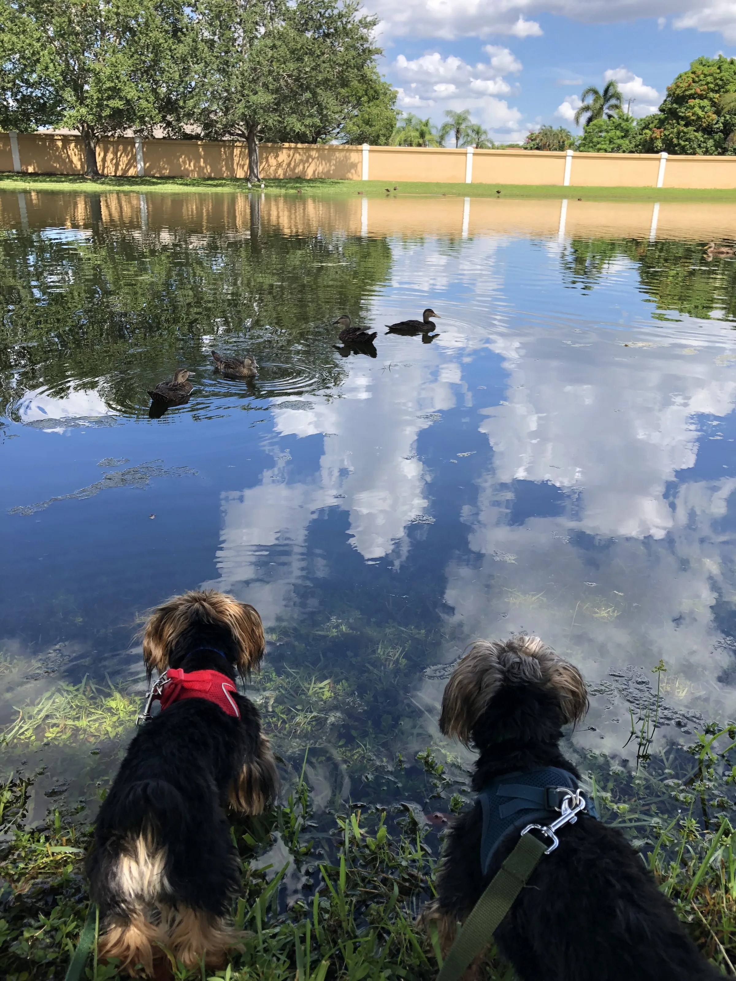 Father and Son