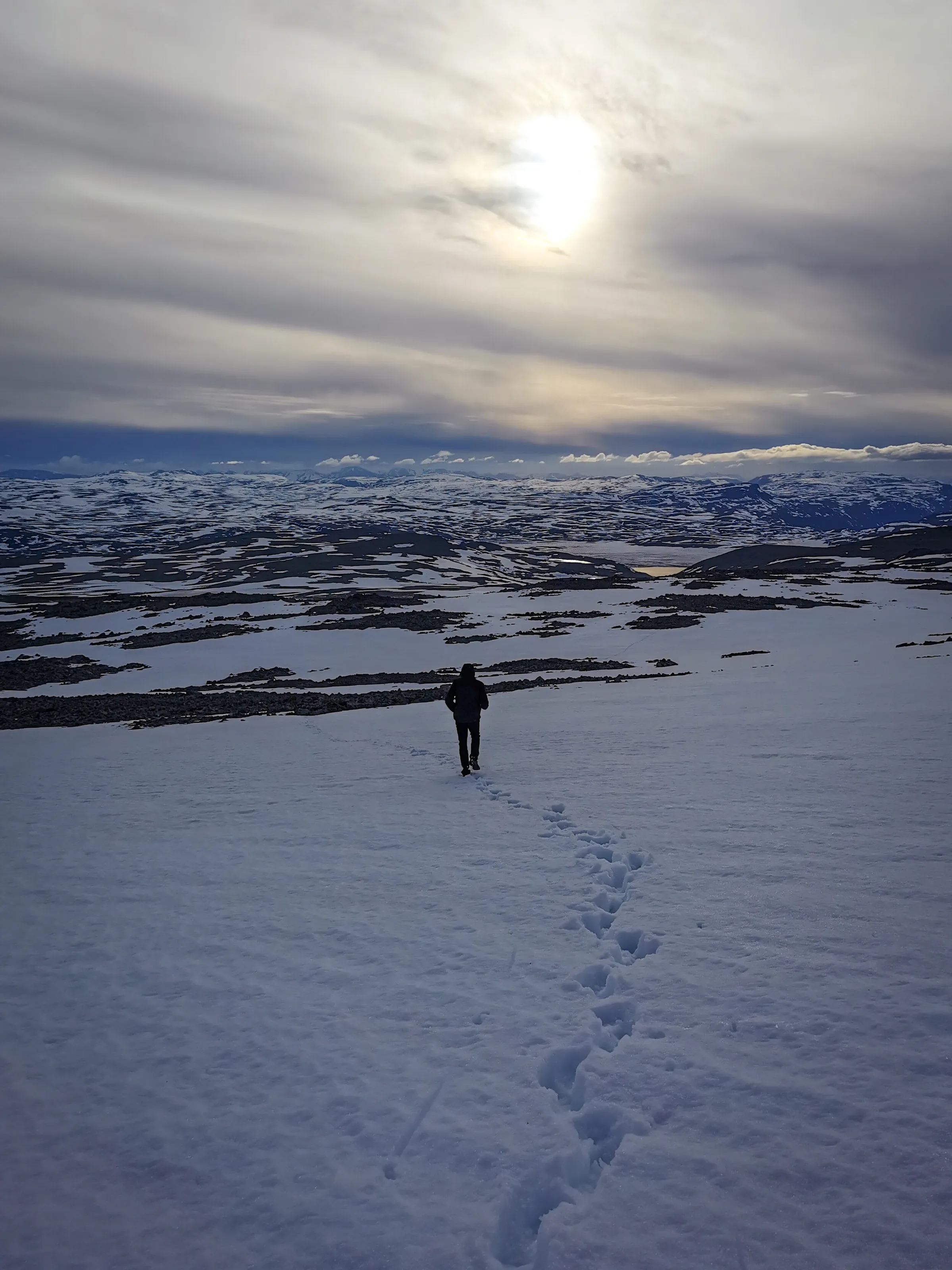Exploring the wild