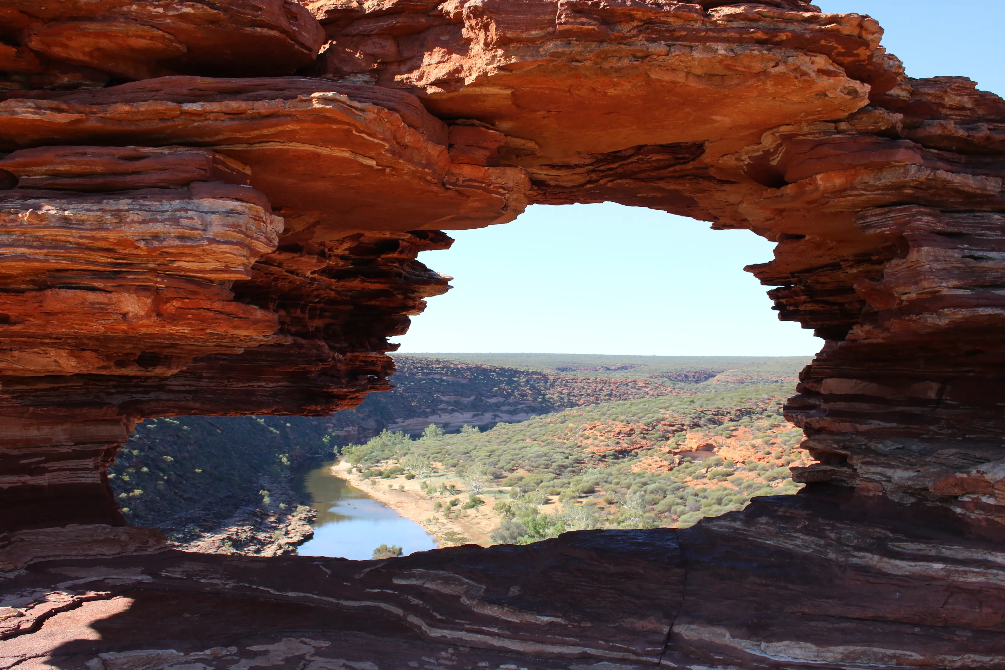 Nature's Window