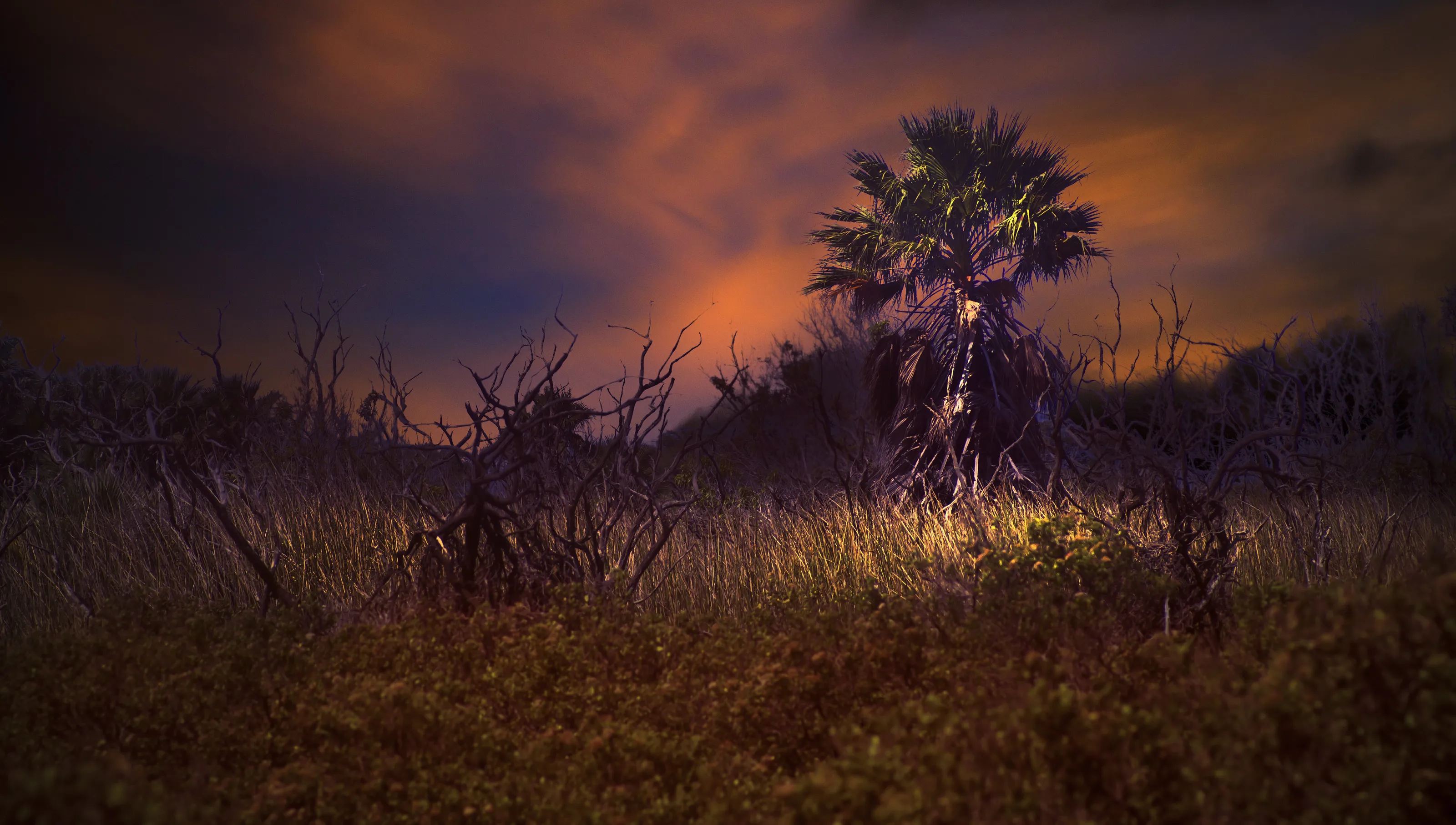 APOCALYPSEIII-3-2