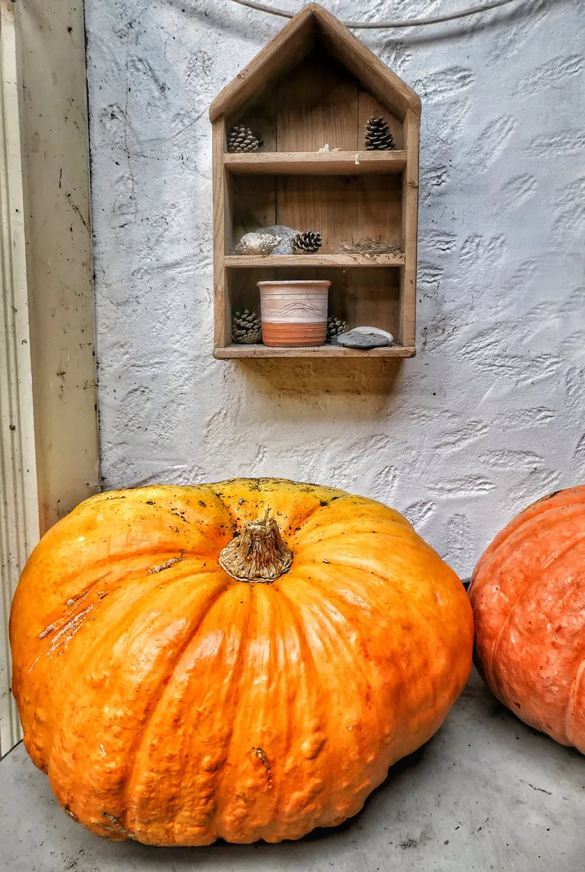 Entry 14115549
