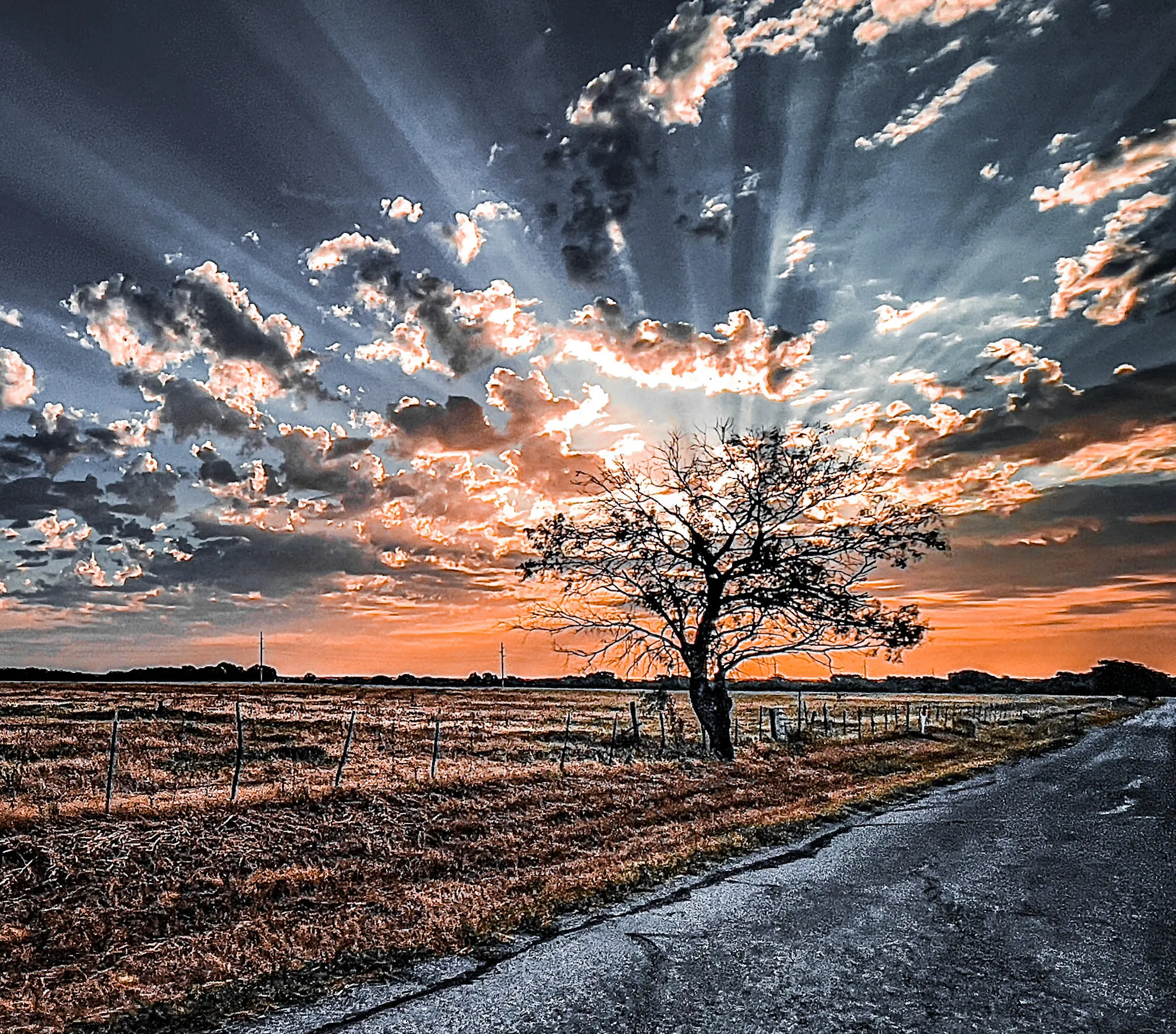 Sun Beams