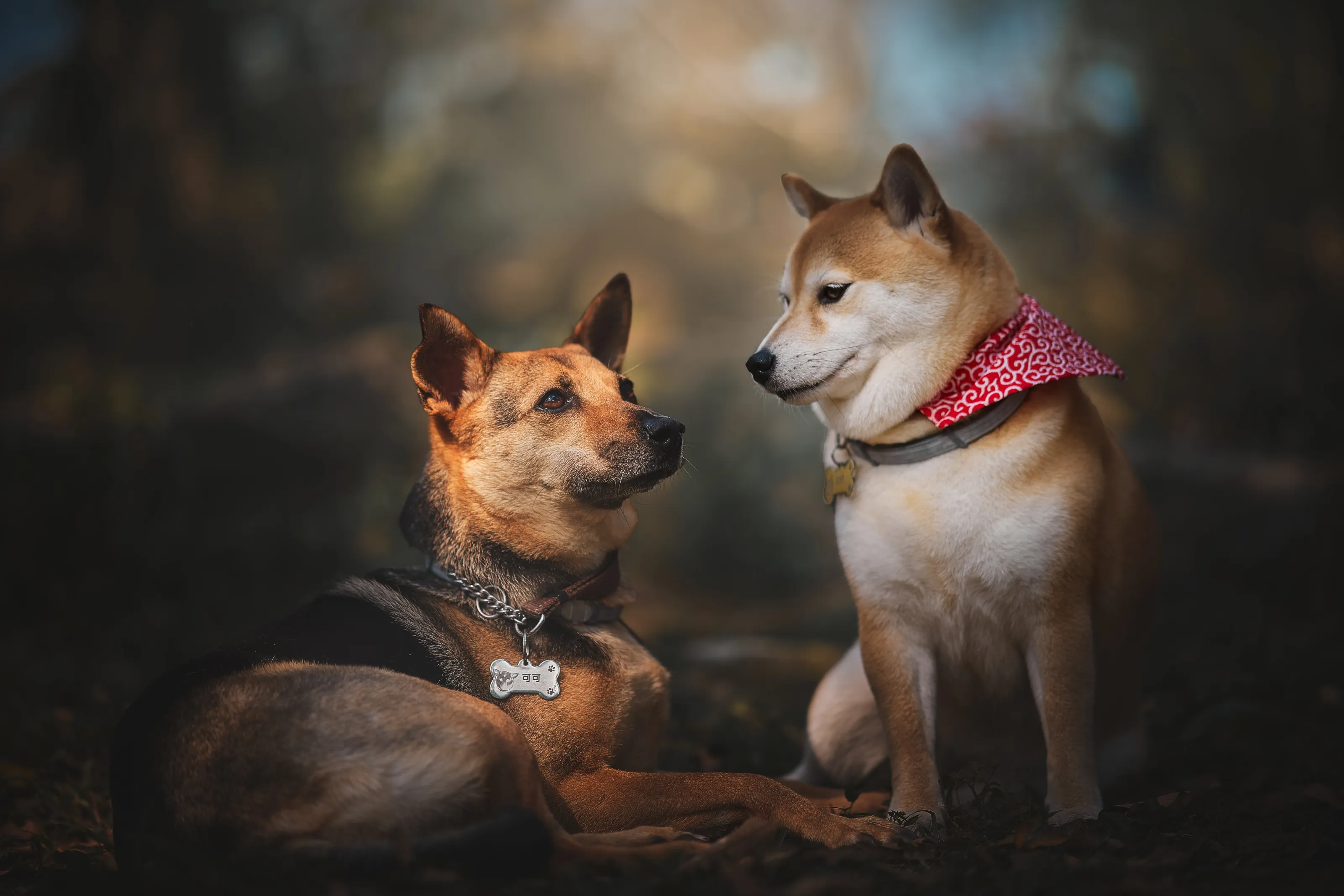 Forever Friends