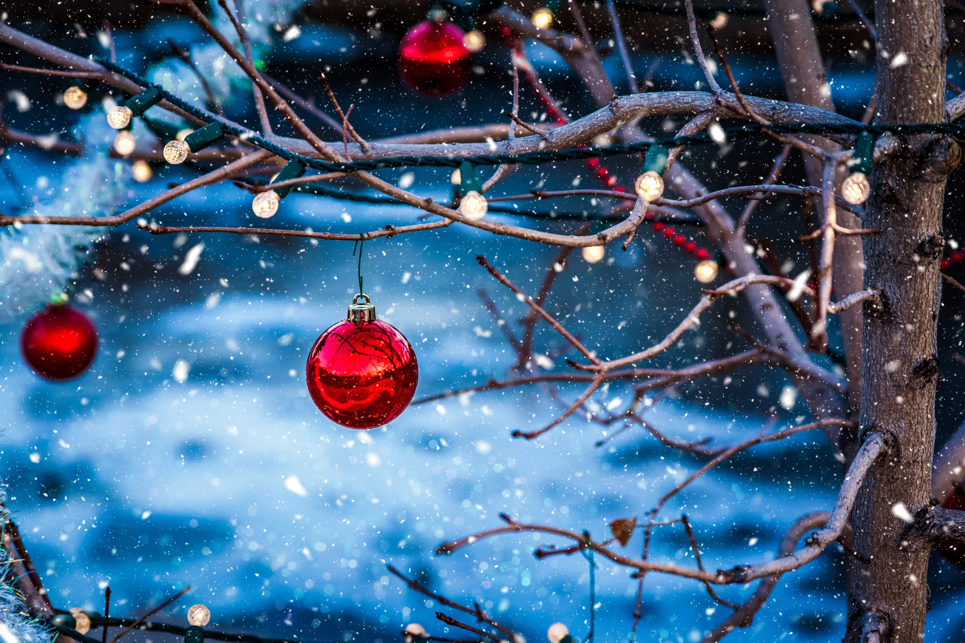 Red Christmas Ornaments Hanging in a Tree