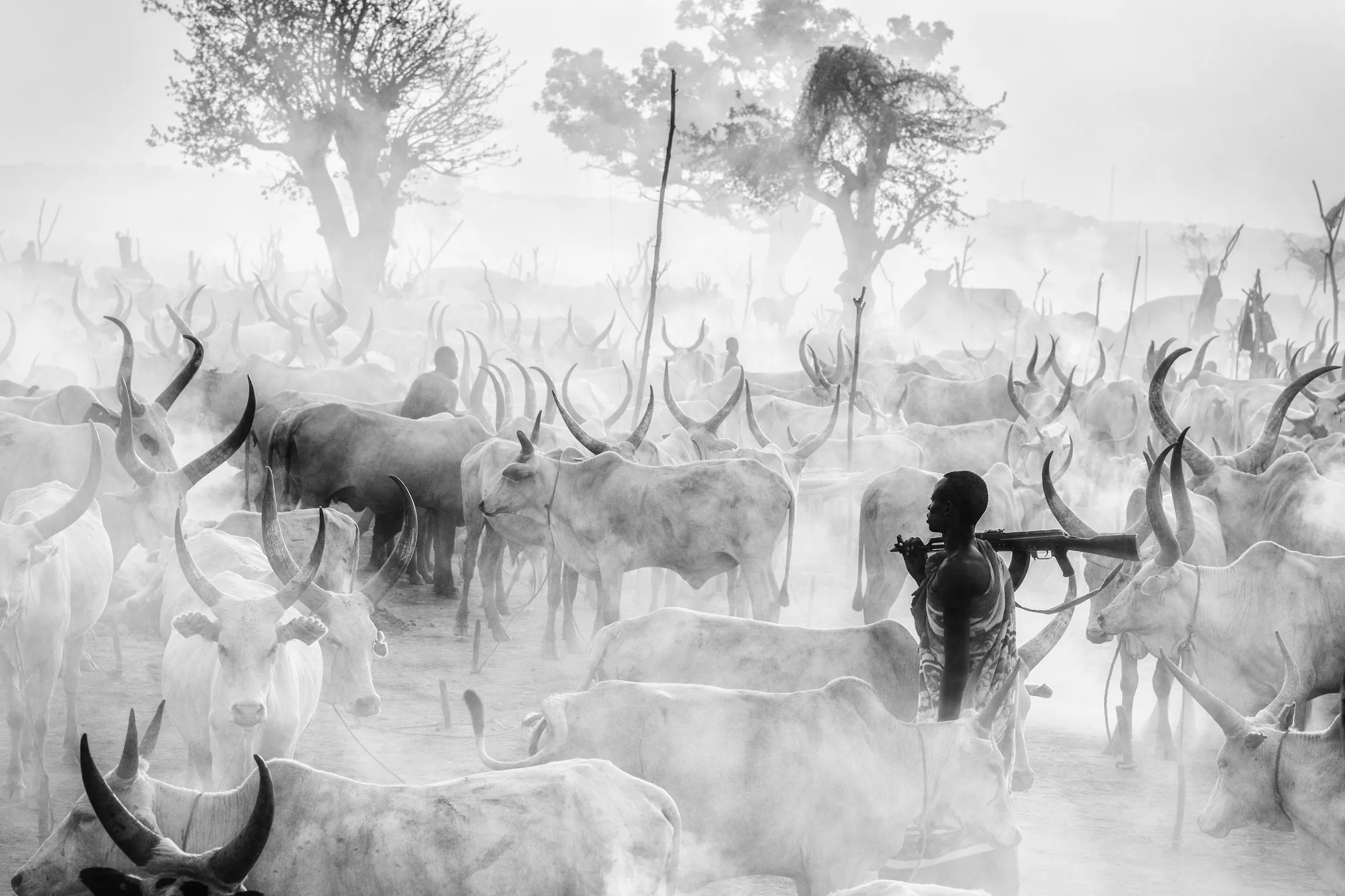 Herder and guardian