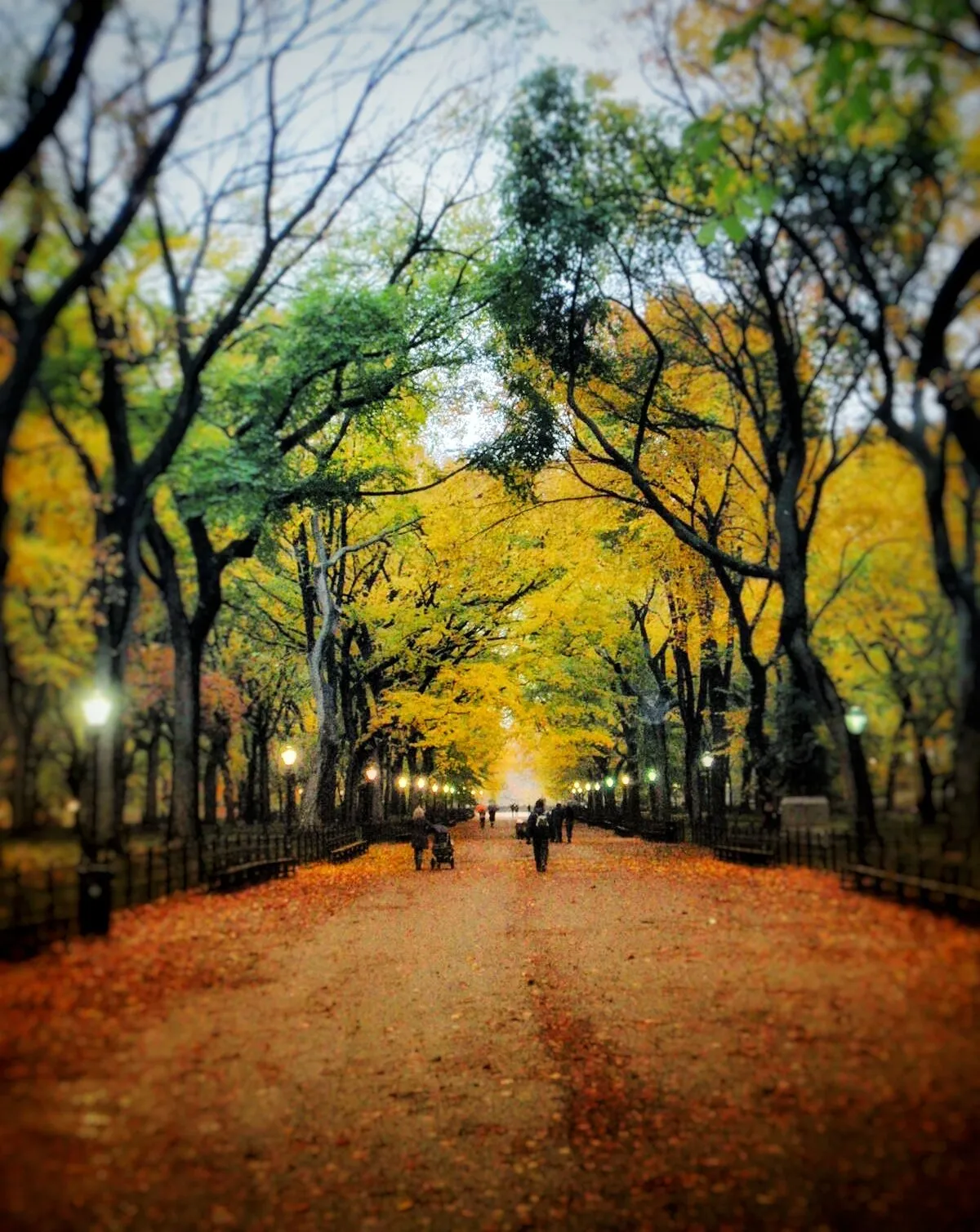 The Mall
