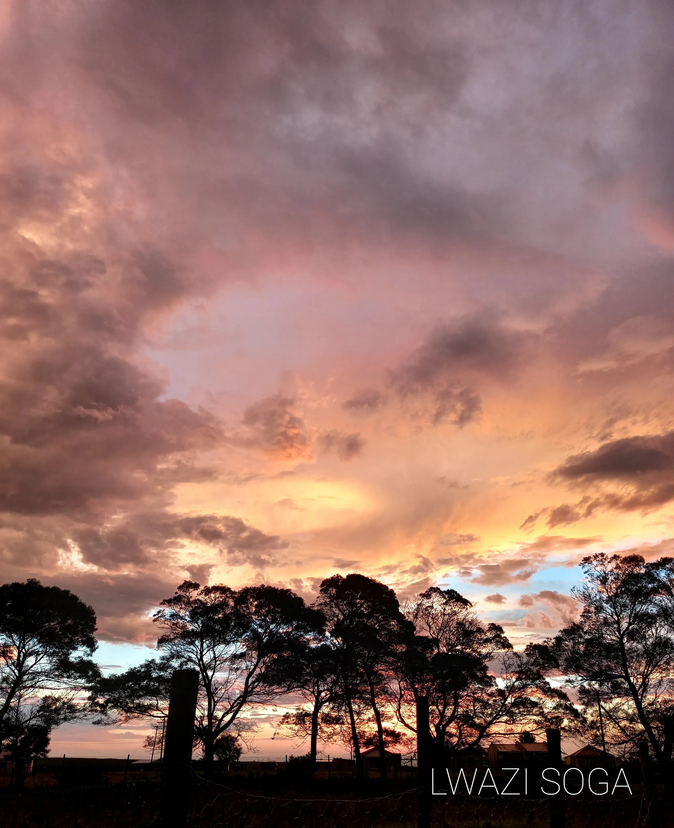 beautiful sunset