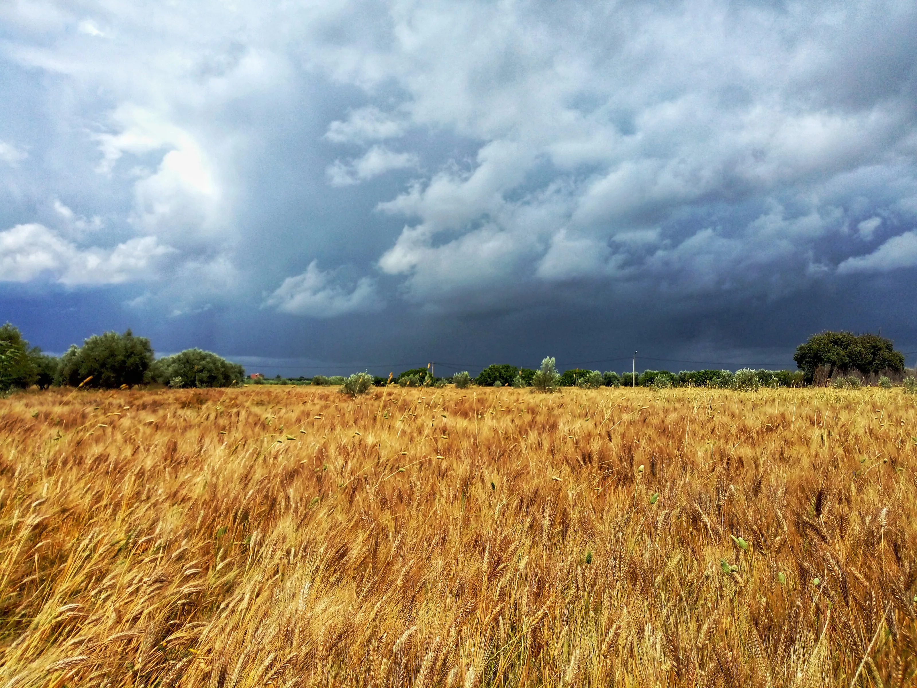 Summer clouds