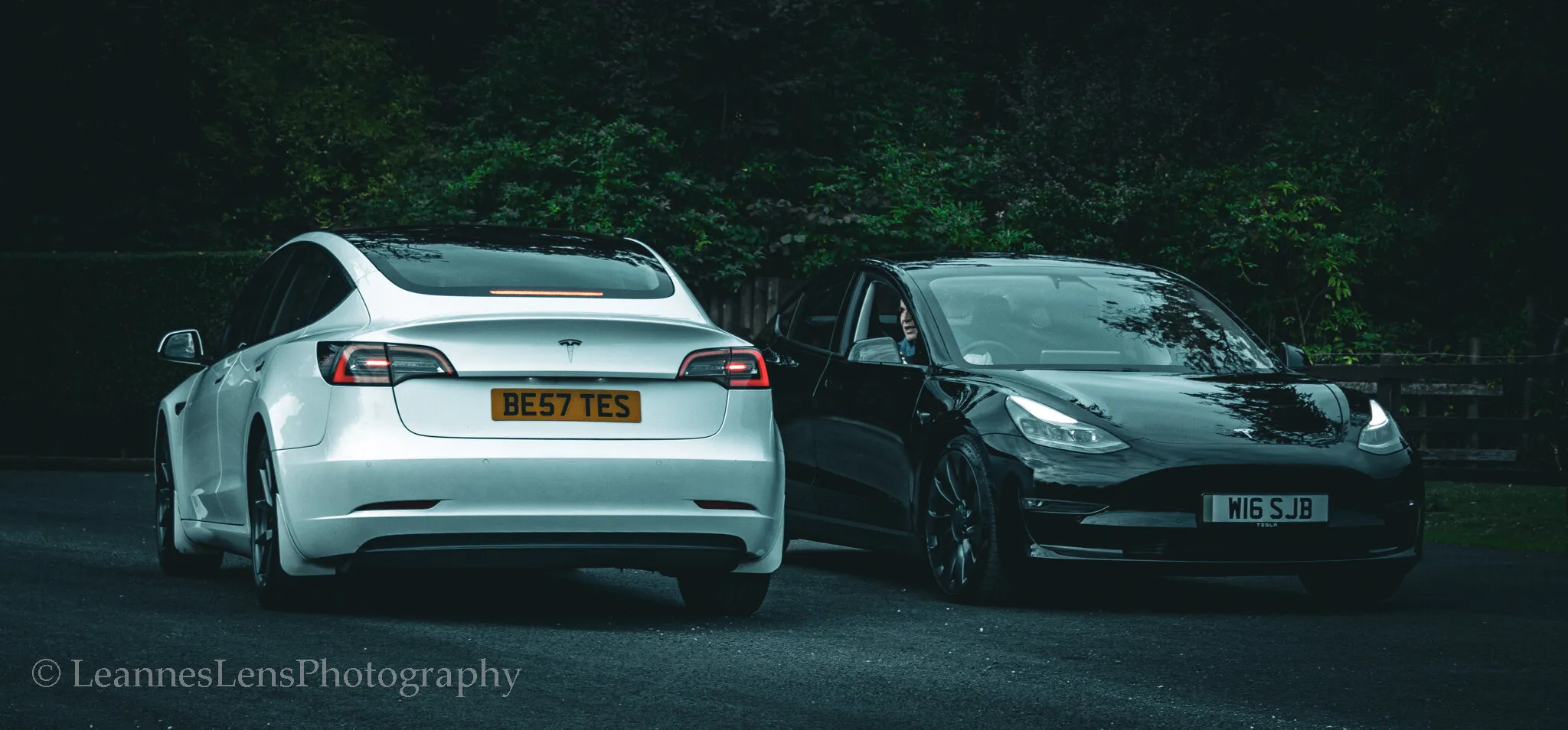 Ebony and Ivory
