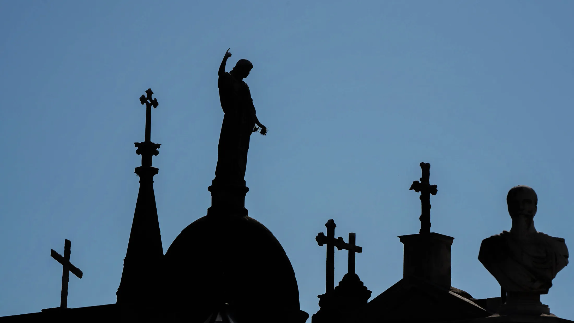 Entry 23826725