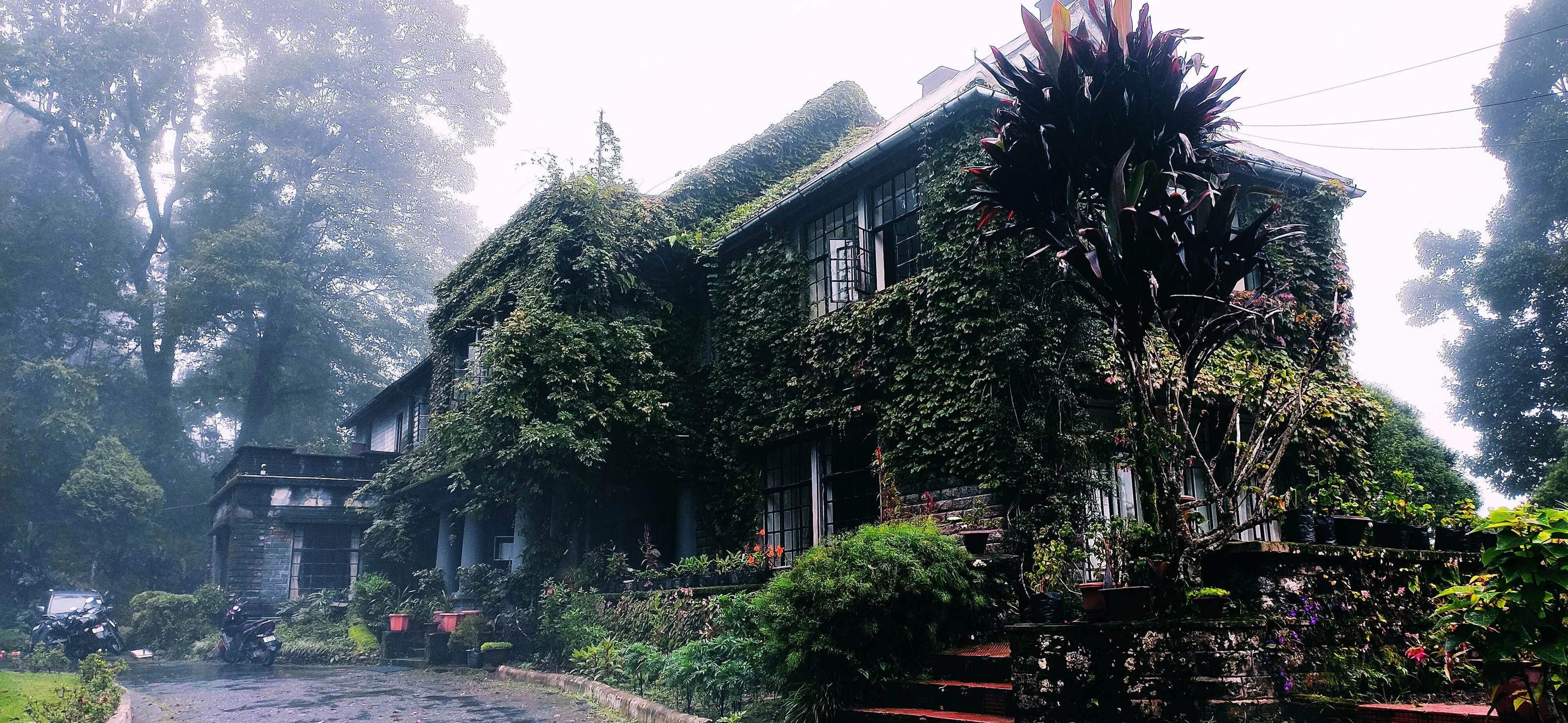 Morgan House - The Beauty In The Hills.